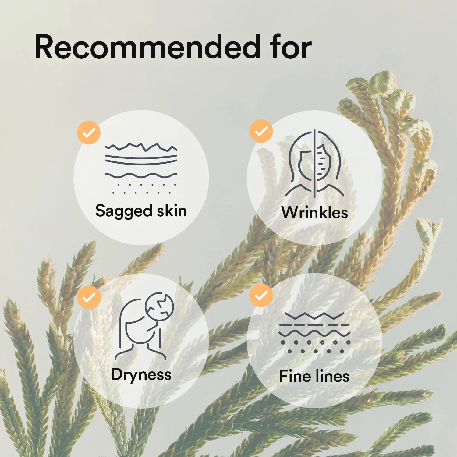 Abib Collagen Gel Mask Jericho Rose Jelly 4 Sheets (Nourishing) I Korean Vegan Collagen, Cooling Nourishing Hyaluronic Acid Hydrogel Face Mask Skin Care - Image 3