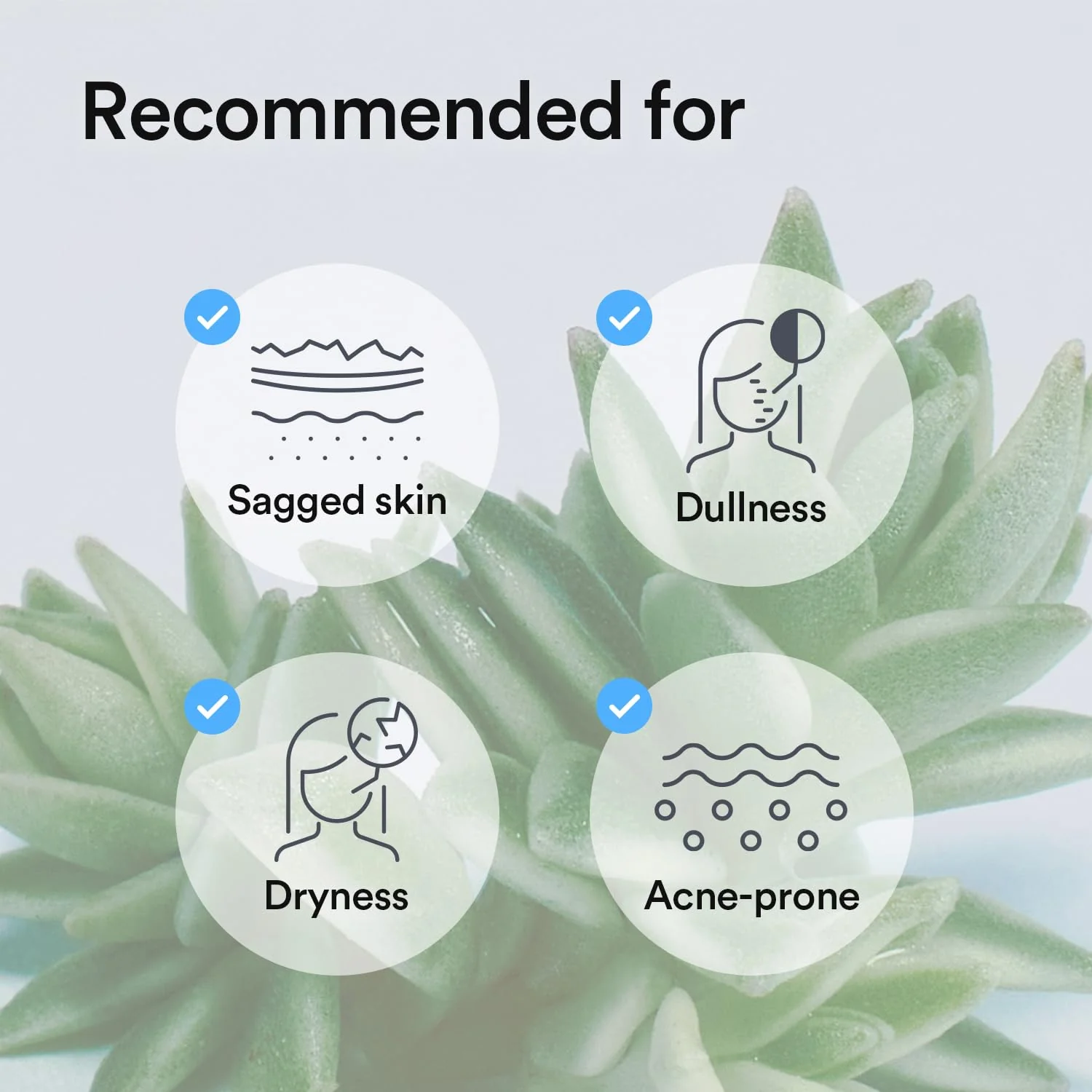 Abib Collagen Gel Mask Sedum Jelly 10 Sheets (Hydrating) I Korean Vegan Collagen, Cooling Hydrating Hyaluronic Acid Hydrogel Face Mask Skin Care - Image 3