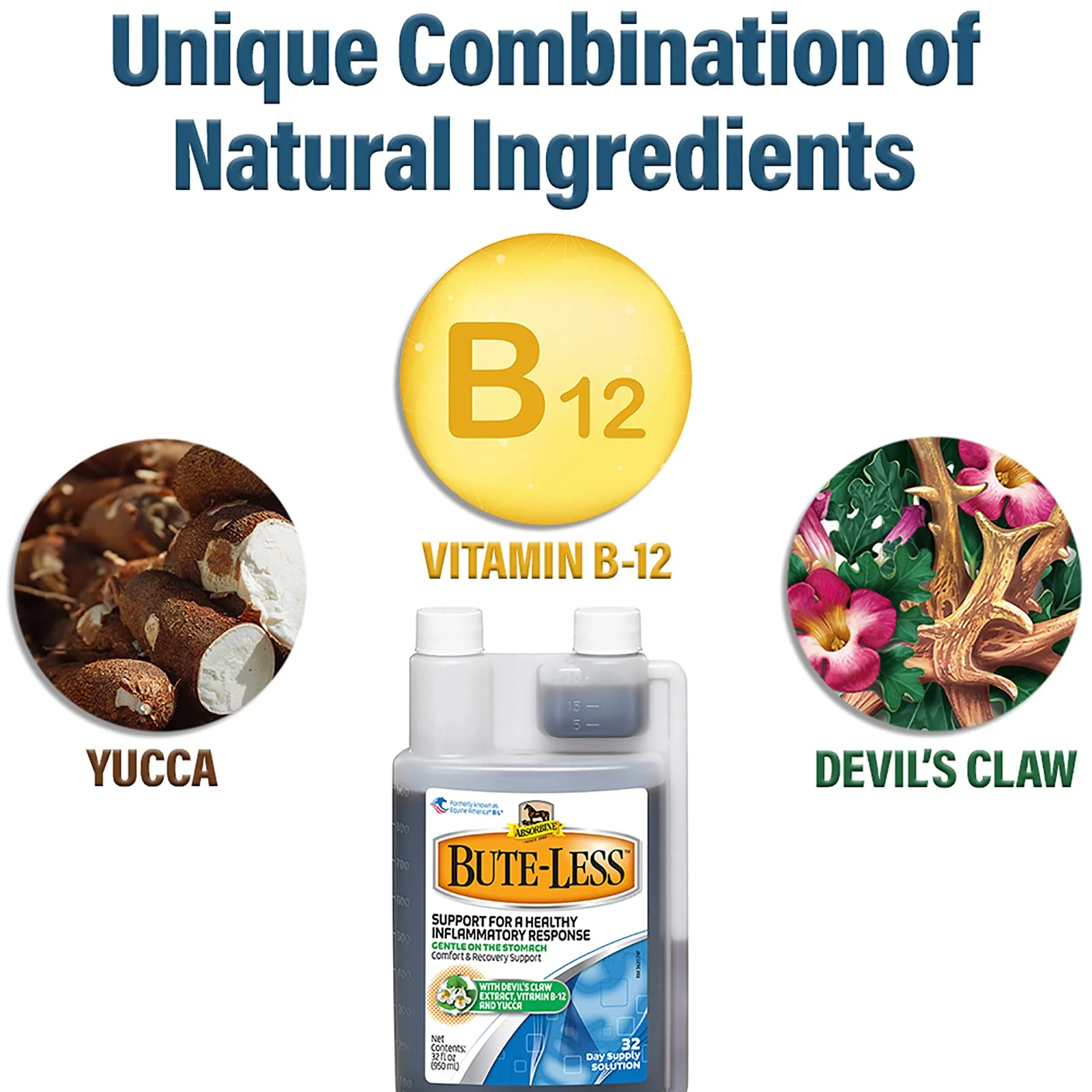 Absorbine Bute-Less Long-Term Horse Comfort & Recovery Supplement Solution, Gentle on Stomach, Devil's Claw, Vitamin B-12, Yucca, 32oz / 32 Day Supply - Image 6