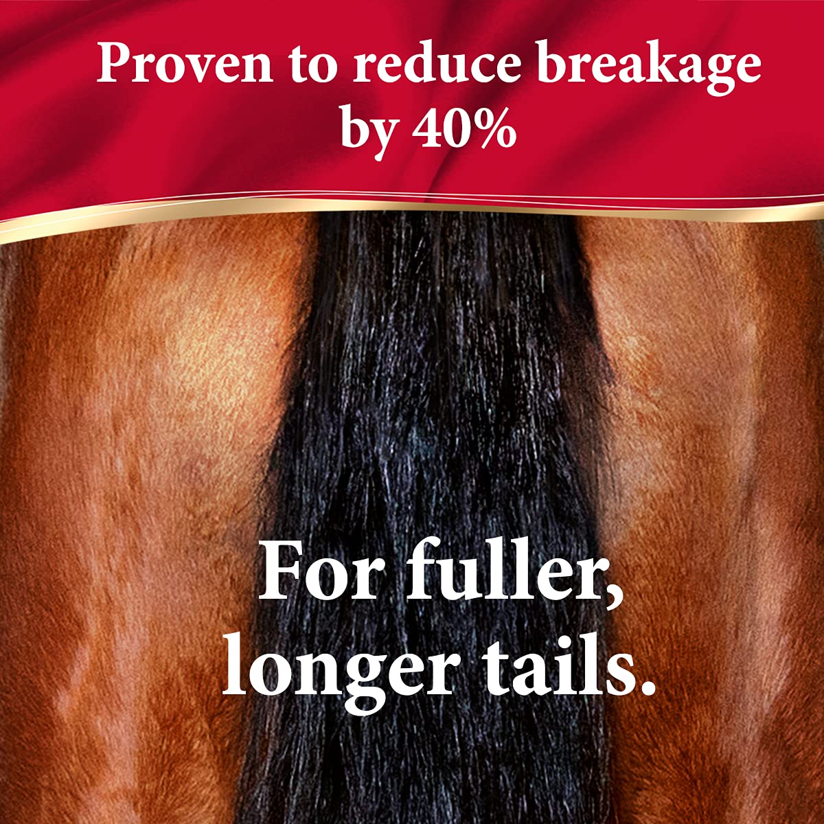 Absorbine ShowSheen Hair Polish & Detangler 128oz Refill Jug, Horse and Dog Coat, Mane and Tail, Instant Detangling & Reduces Hair Breakage for Healthy Grooming & Radiant Shine - Image 5