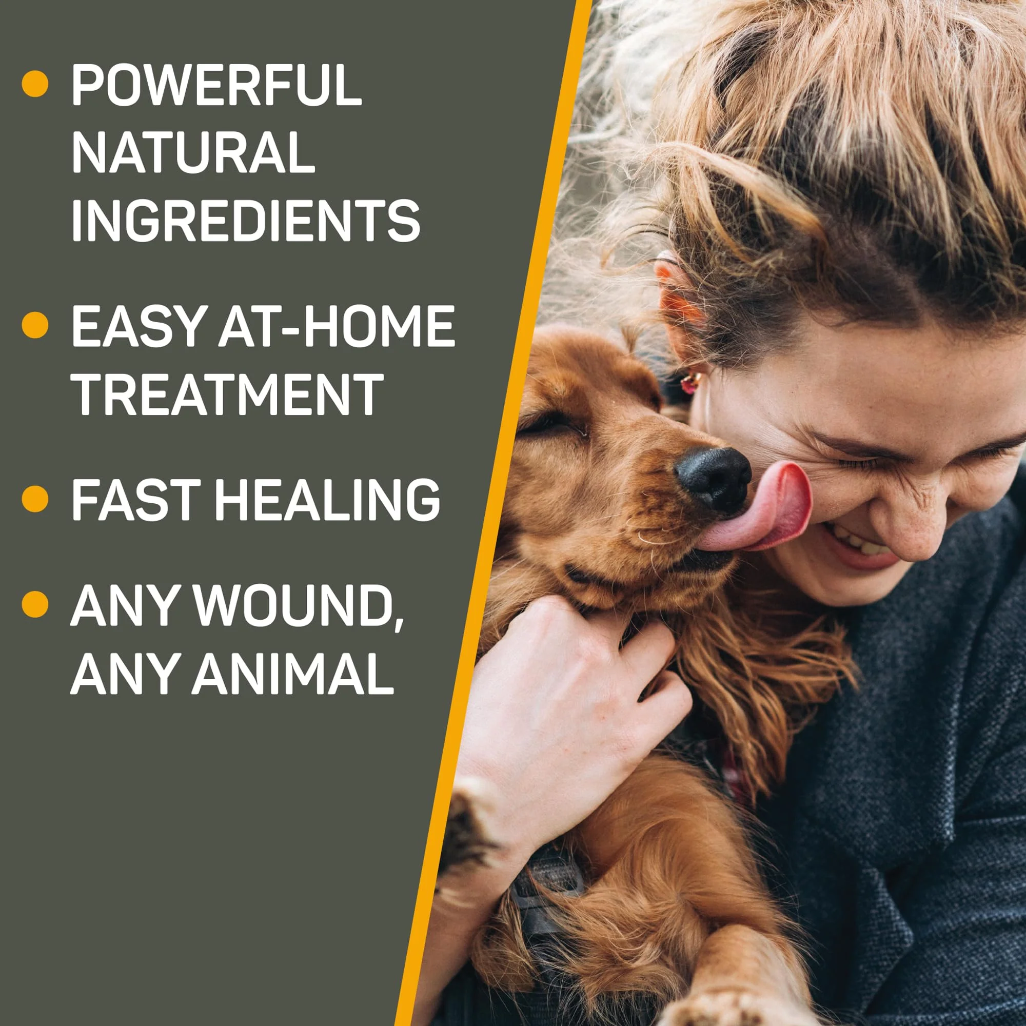 Absorbine Silver Honey Hot Spot & Wound Care Spray Gel 8oz Bottle, Manuka Honey & MicroSilver BG, Medicated for Dogs, Cats, Small Animals - Image 9