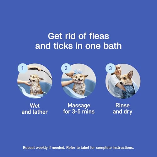 ADAMS Plus Flea & Tick Foaming Shampoo & Wash for Dogs & Puppies, Flea Shampoo to Treat Flea Infestations, Kills Ticks, Fleas, Flea Eggs & Lice, Cleans and Conditions Coat, 10 Ounces - Image 3