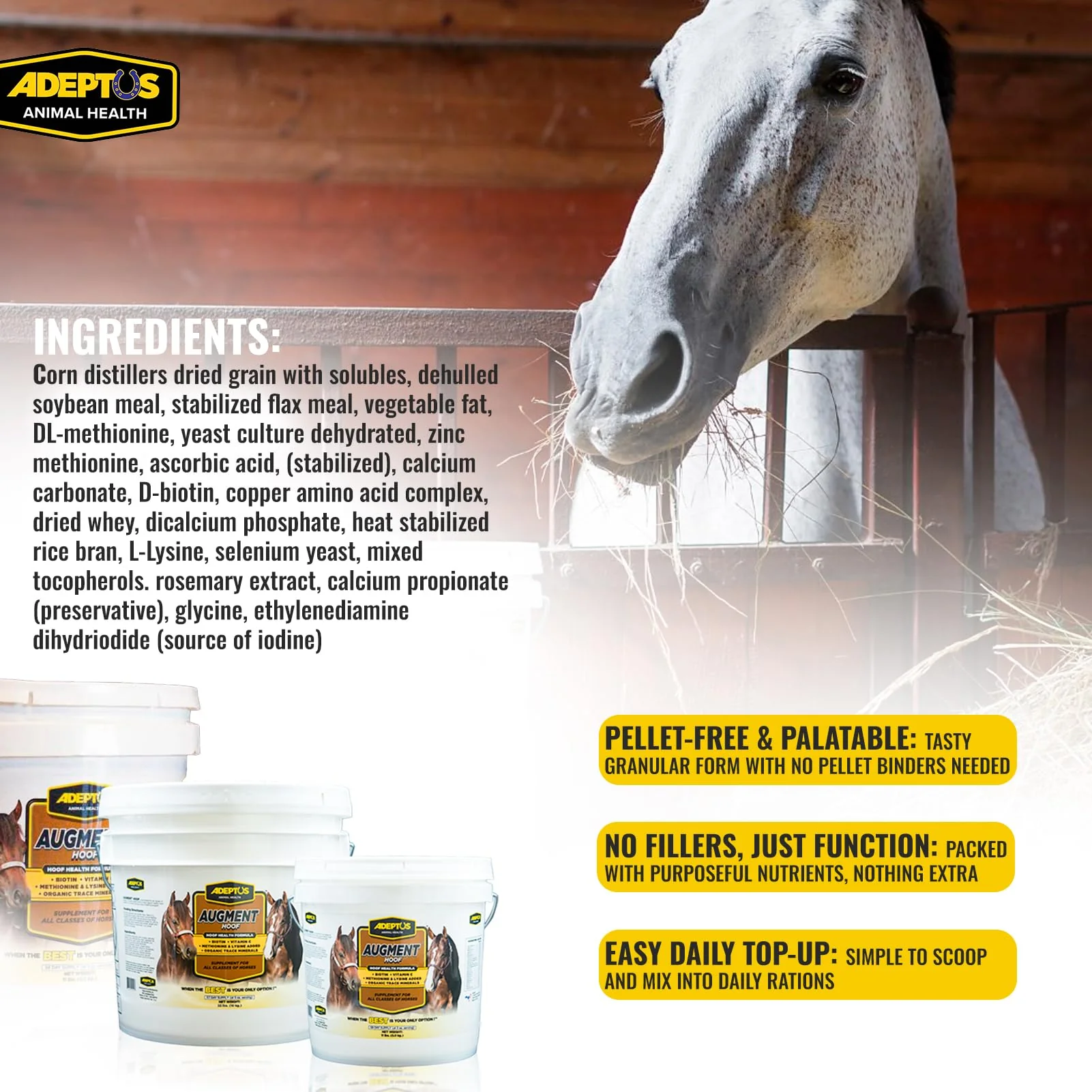 Adeptus Nutrition Augment Hoof, Granular Low Carb Horse Nutrition Support Supplement with Biotin, Amino Acids, Omega 3, 6 Fatty Acids, Chelated Minerals, Prebiotic Yeast Base, 11lbs - Image 5