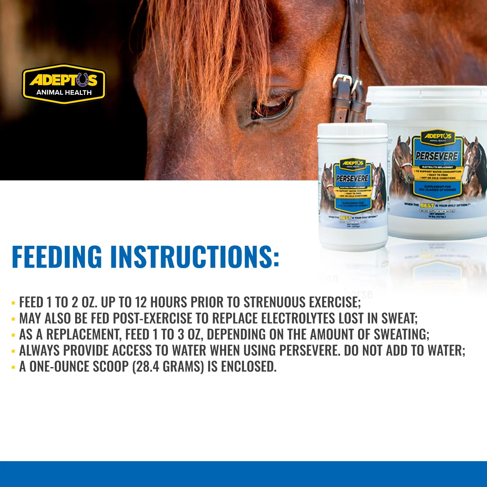 Adeptus Nutrition Persevere Electrolyte Supplement for All Classes of Horses, Supports Hydration, Balanced Formula for Sweat Replacement, Prebiotic Yeast Base, Easy-Feed Powder, 4 Lbs - Image 2