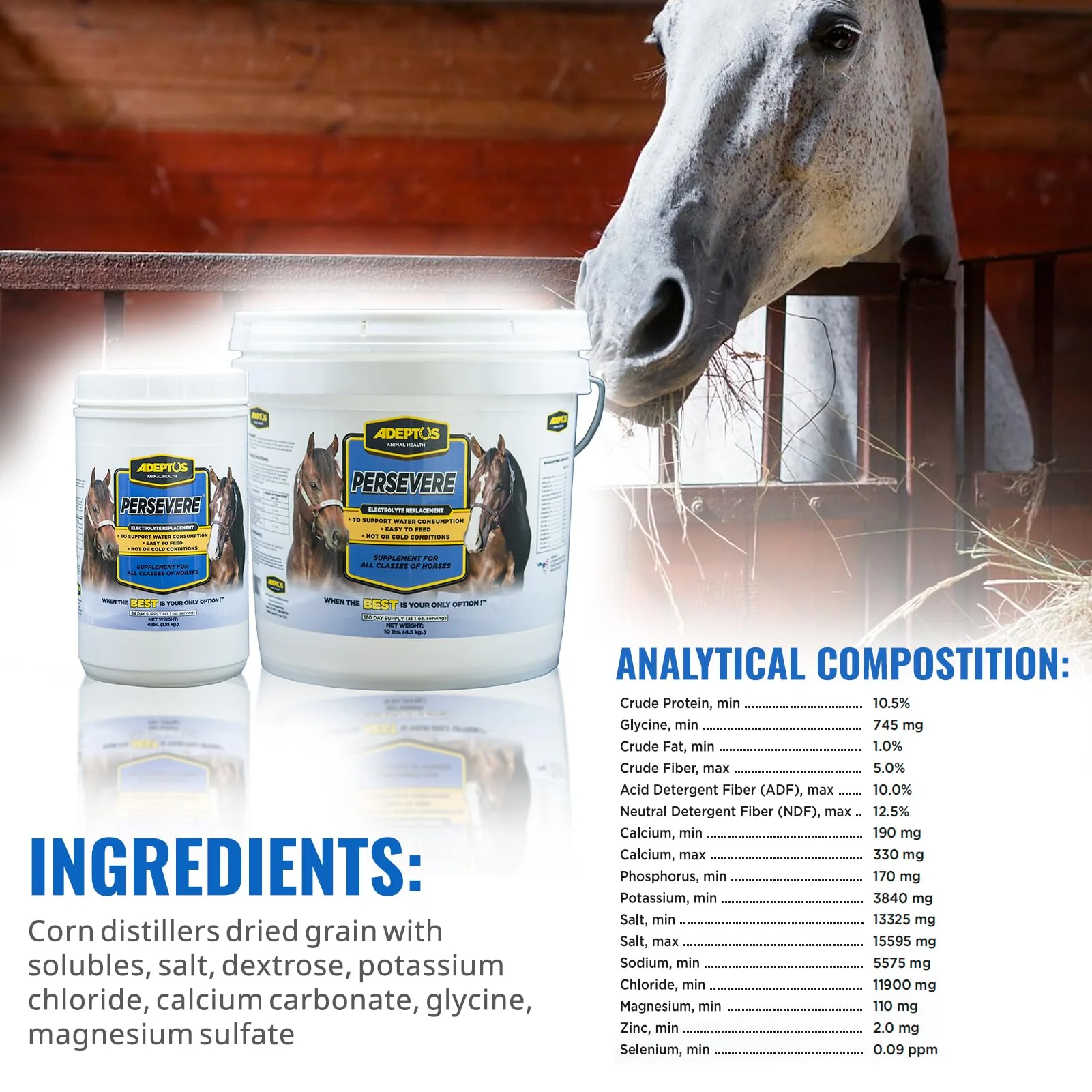 Adeptus Nutrition Persevere Electrolyte Supplement for All Classes of Horses, Supports Hydration, Balanced Formula for Sweat Replacement, Prebiotic Yeast Base, Easy-Feed Powder, 4 Lbs - Image 3