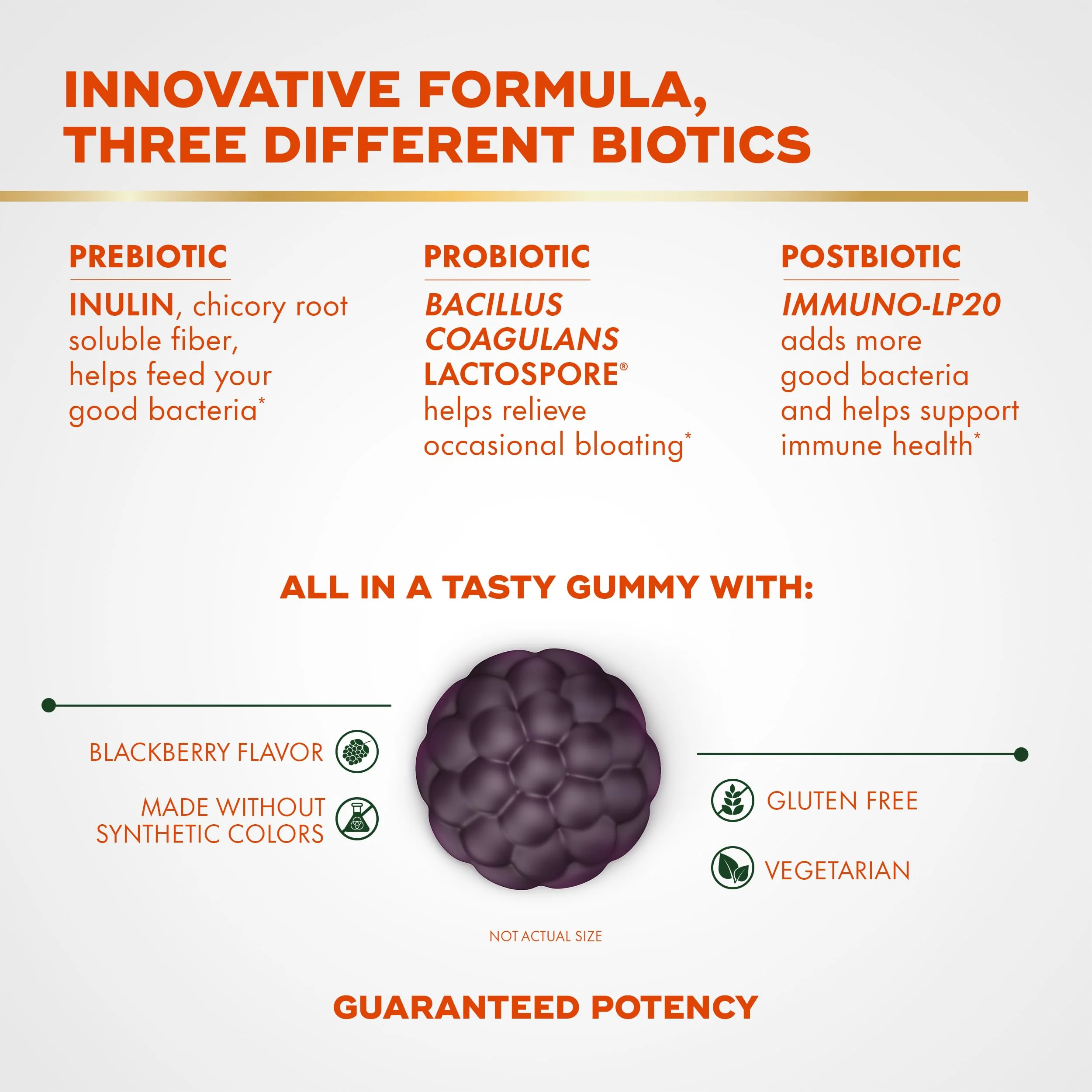 Align Probiotic, 3-in-1 Biotic Gummies, Prebiotic + Probiotic + Postbiotic, #1 Doctor Recommended Probiotic Brand‡, Helps Relieve Occasional Bloating*, BlackBerry Flavor, 50 Gummies - Image 5