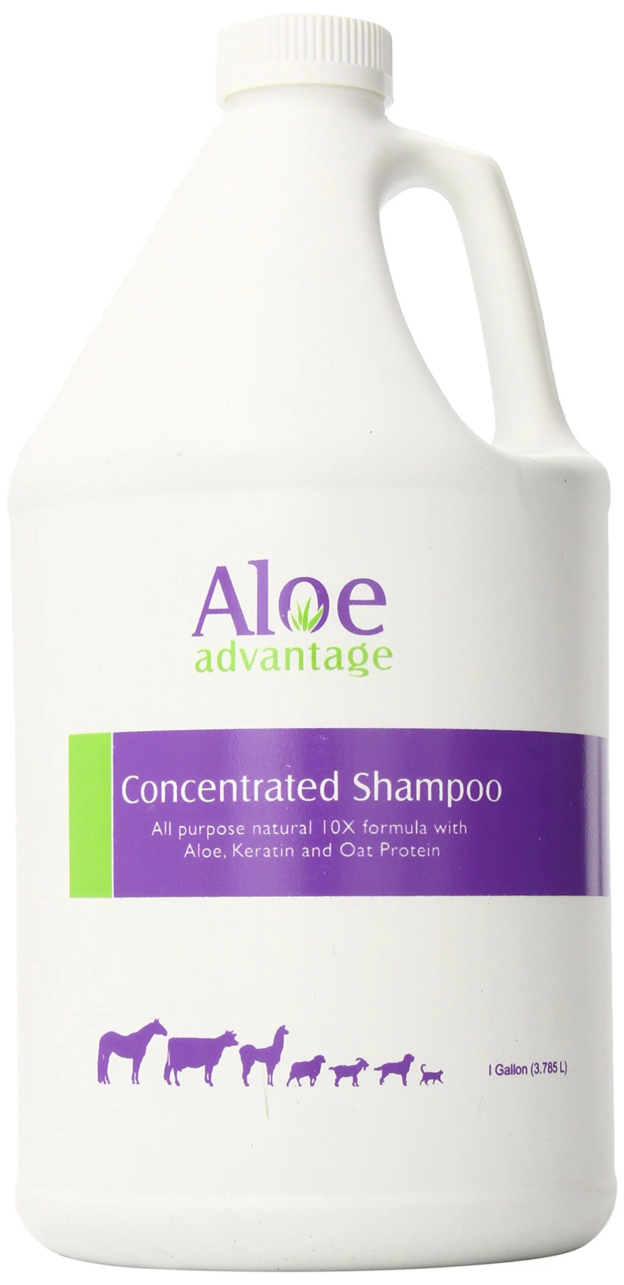Aloe Concentrated Shampoo 1 Gallon
