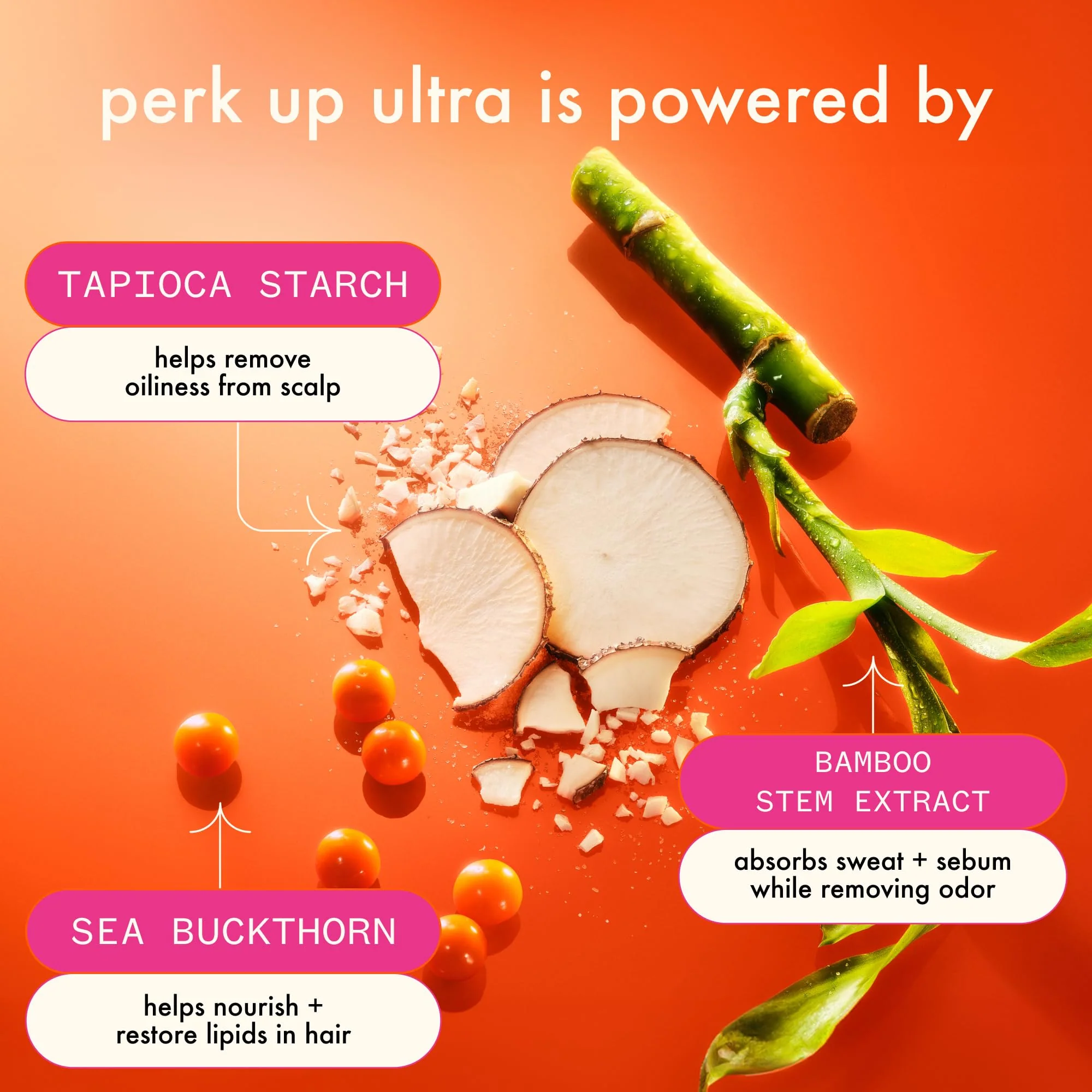 amika Perk Up Ultra Oil Control Dry Shampoo, 1.8oz - Image 9