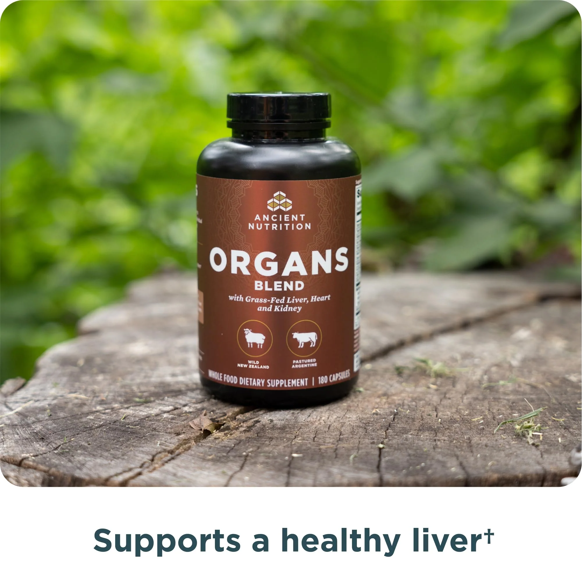 Ancient Nutrition Organ Supplements, Grass-Fed and Wild Organ Complex Capsules, Liver, Heart, Kidney Supports Organ, Cognitive, and Immune System Health, 180 Ct - Image 3