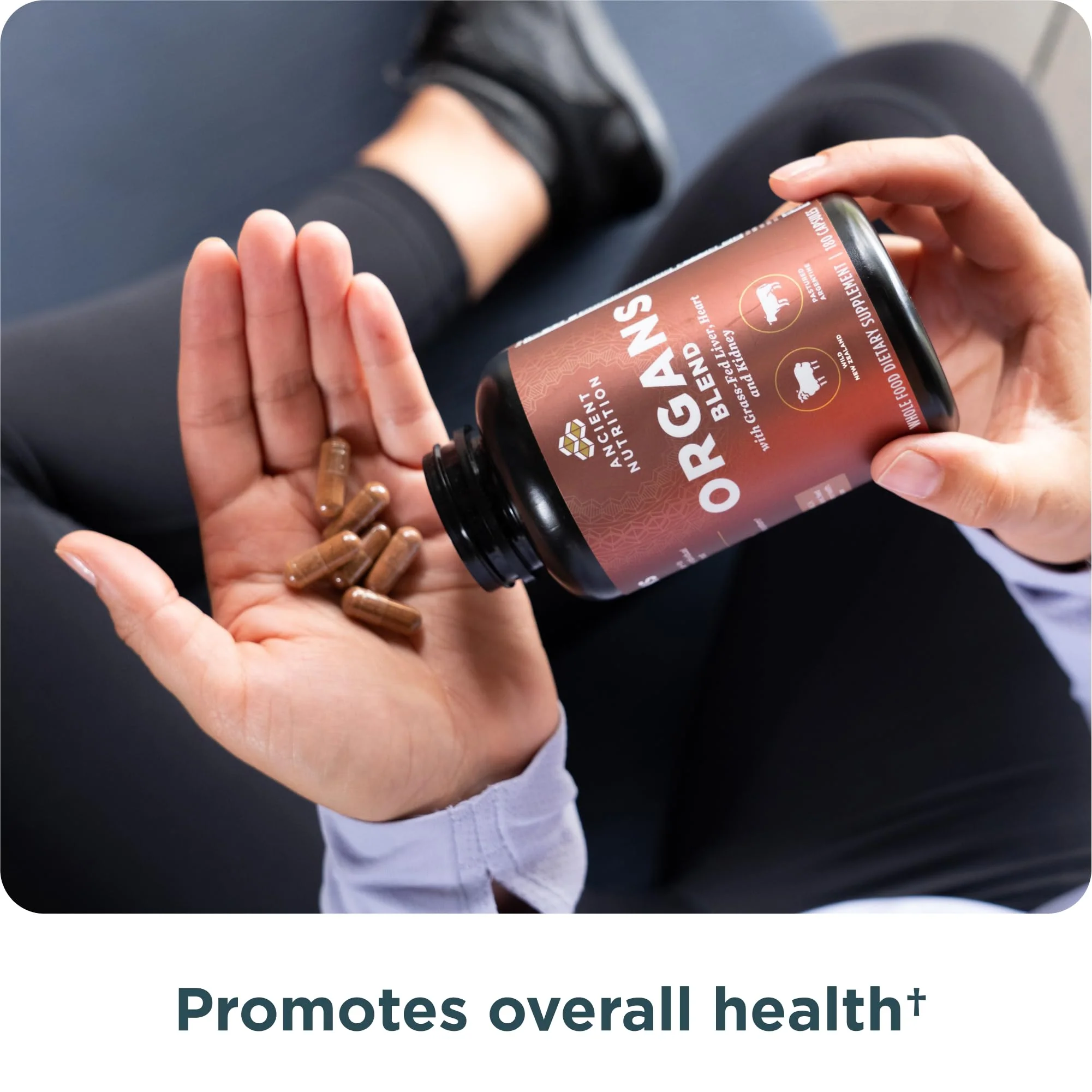 Ancient Nutrition Organ Supplements, Grass-Fed and Wild Organ Complex Capsules, Liver, Heart, Kidney Supports Organ, Cognitive, and Immune System Health, 180 Ct - Image 4