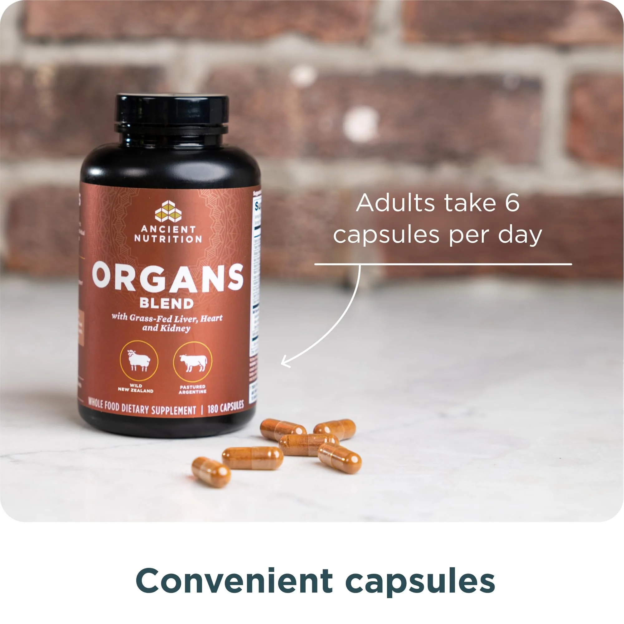 Ancient Nutrition Organ Supplements, Grass-Fed and Wild Organ Complex Capsules, Liver, Heart, Kidney Supports Organ, Cognitive, and Immune System Health, 180 Ct - Image 7