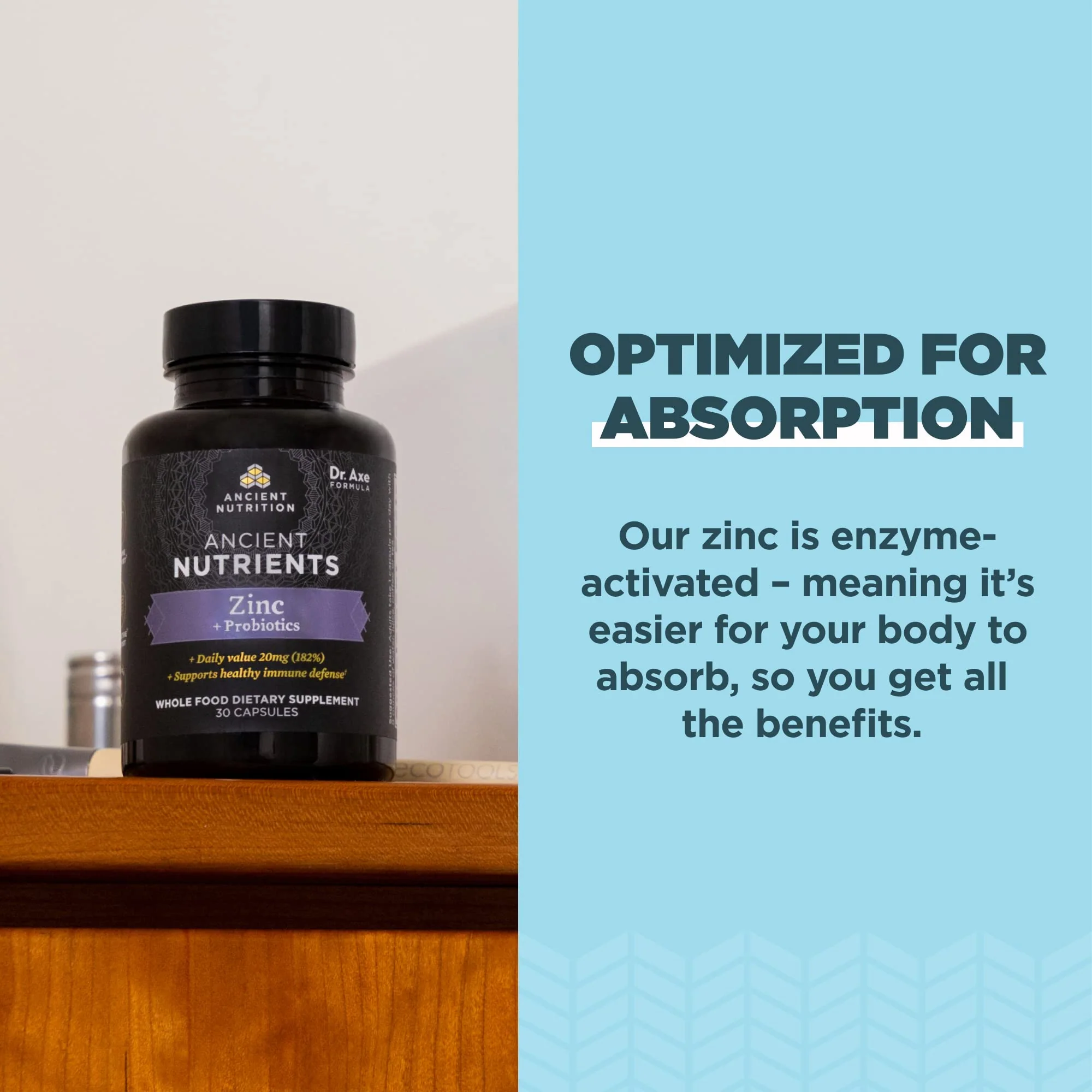 Ancient Nutrition Probiotics and Zinc Supplement, Supports Healthy Immune System and Gut Health, Made Without GMOs, Superfoods Supplement, Paleo and Keto Friendly, 30 Count - Image 5