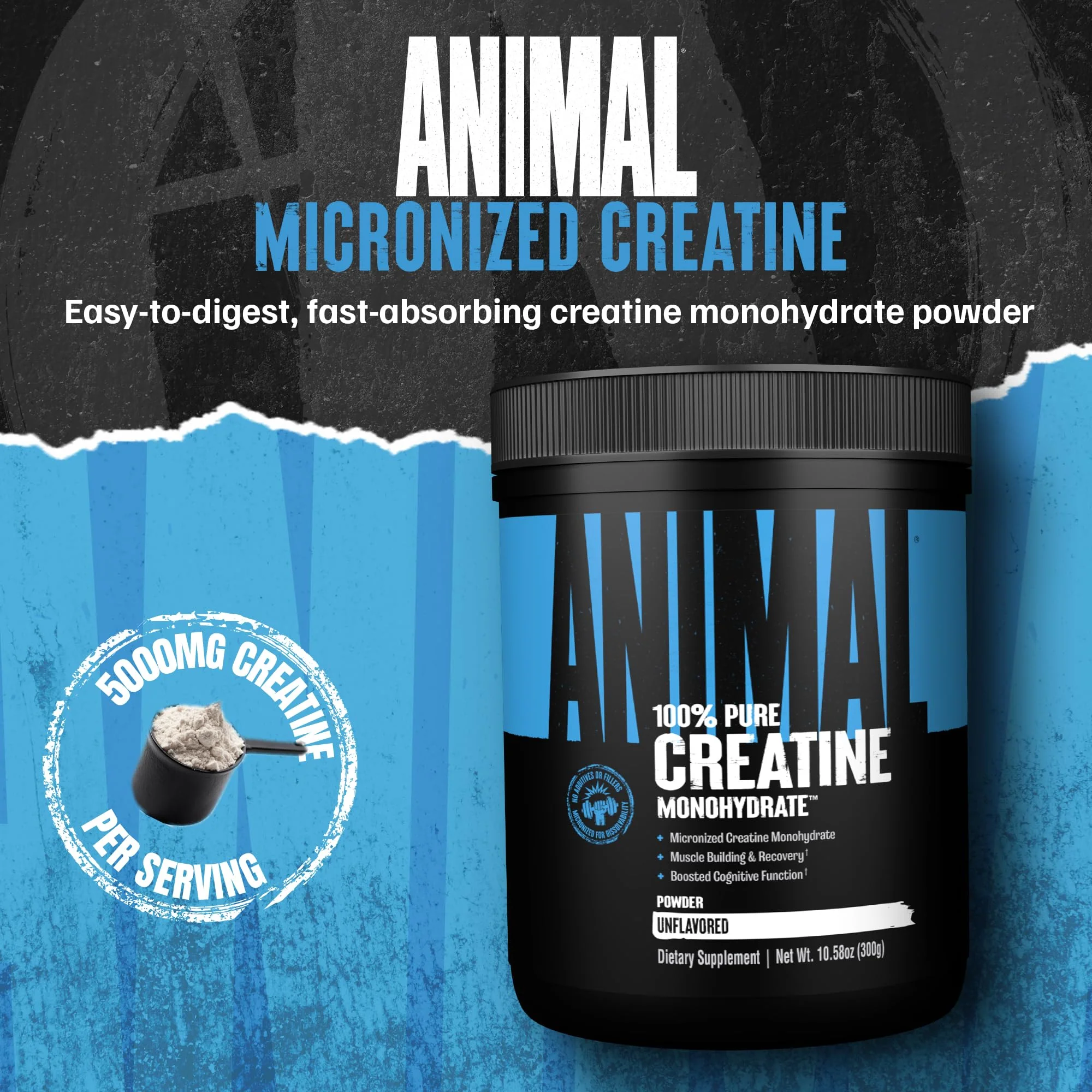 Animal Creatine Monohydrate Powder – Micronized Creatine for Women and Men, Supports Muscle Growth, Strength, Endurance, Recovery and ATP Production, Gym & Workout Supplements - Unflavored, 300g - Image 7
