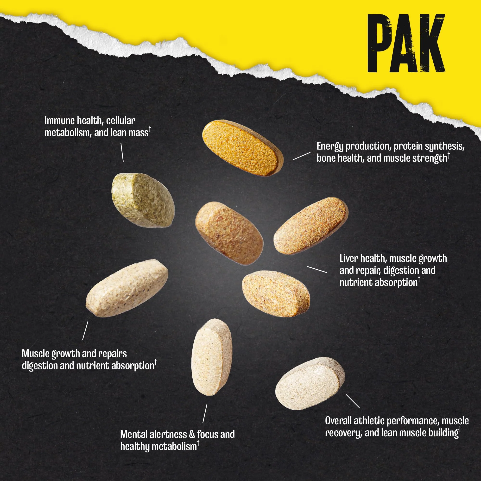Animal Pak - Convenient Multivitamin for Men & Women Daily All-in-One Vitamin & Supplement Pack - Zinc, Vitamins C, B, D, Amino Acids, and Immune Support - Sports Nutrition Performance - 44 Count - Image 2