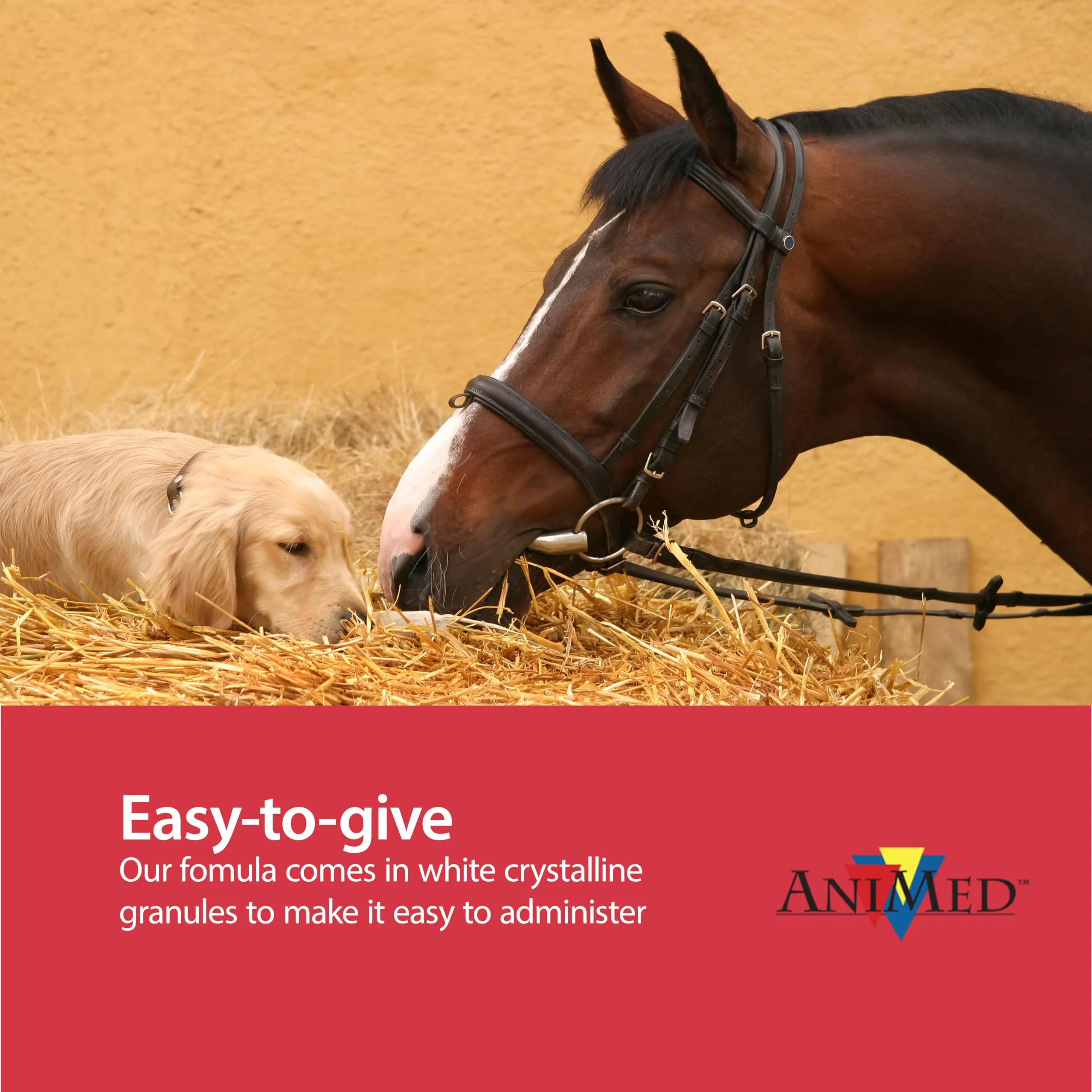 AniMed Pure MSM Supplement for Horses, 1-Pound… - Image 5