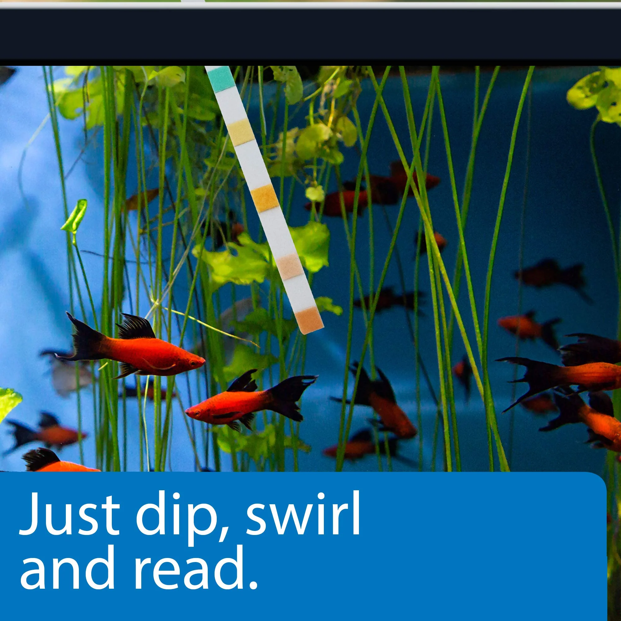API 5-IN-1 TEST STRIPS Freshwater and Saltwater Aquarium Test Strips 4-Count Box - Image 6