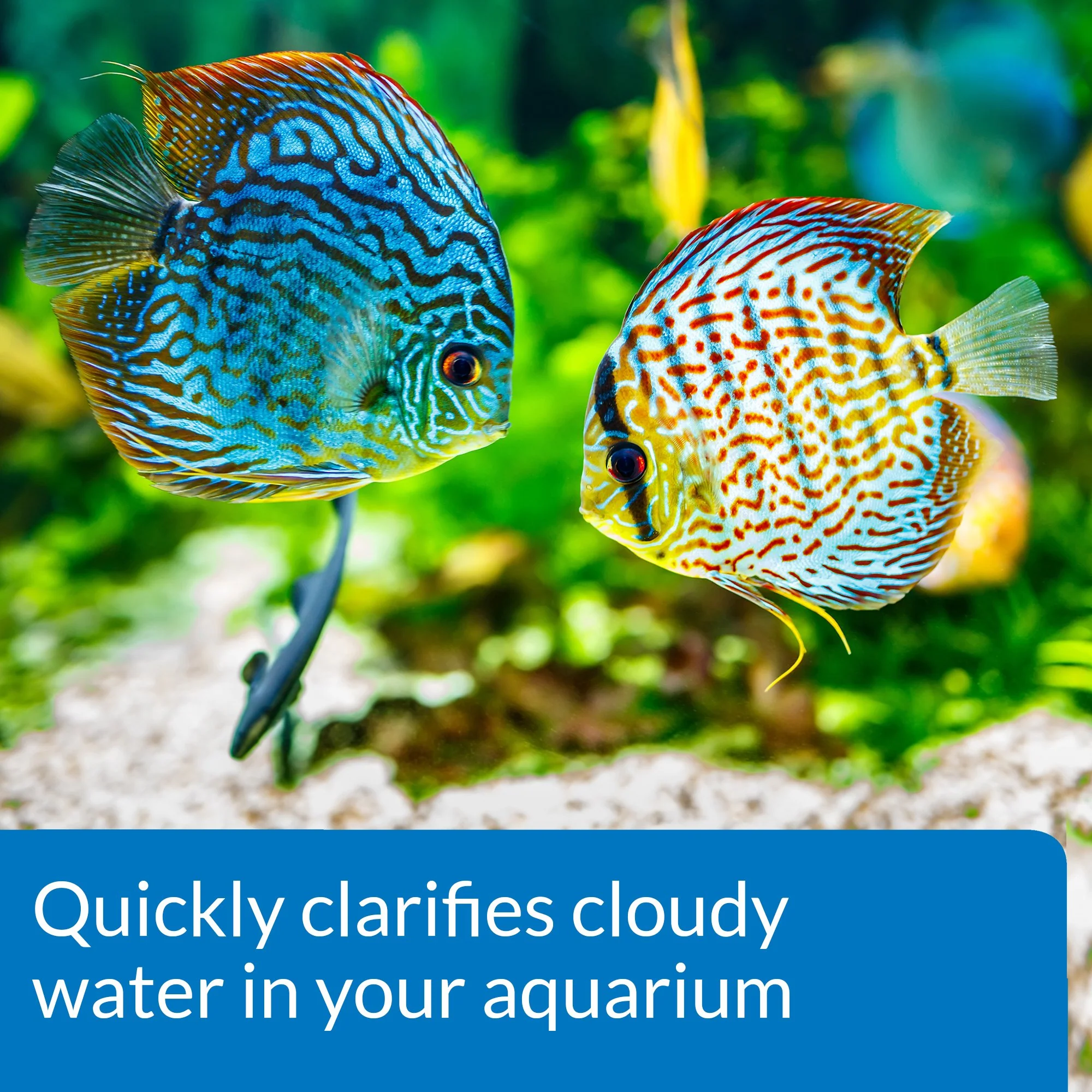 API ACCU-CLEAR Freshwater Aquarium Water Clarifier 1.25-Ounce Bottle (111A) - Image 6