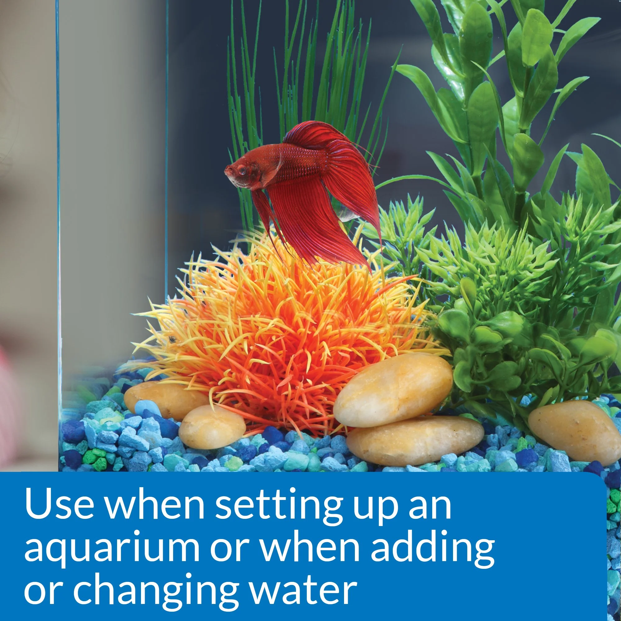API BETTA WATER CONDITIONER Betta Fish Freshwater Aquarium Water Conditioner 1.7-Ounce Bottle - Image 7
