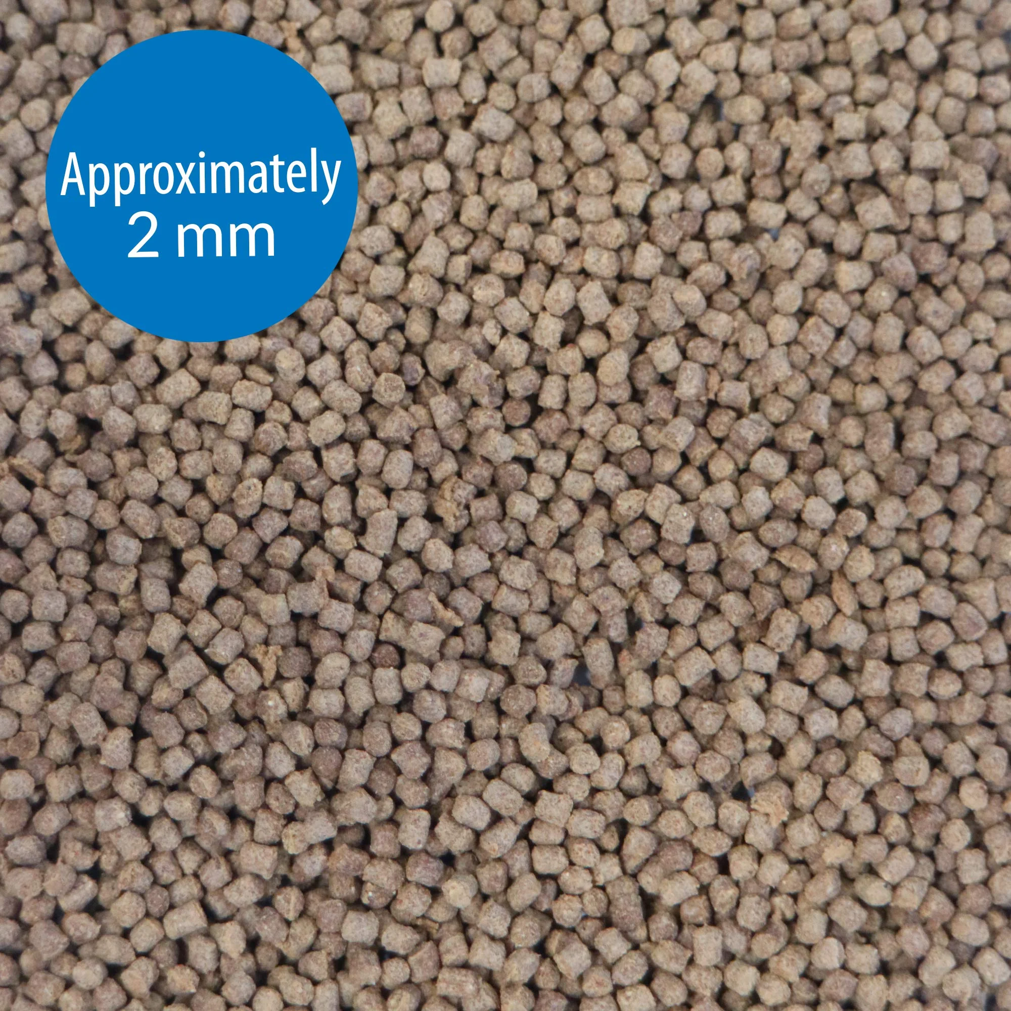 API CICHLID PELLETS Floating Pellets Fish Food 4.2-Ounce Container - Image 3