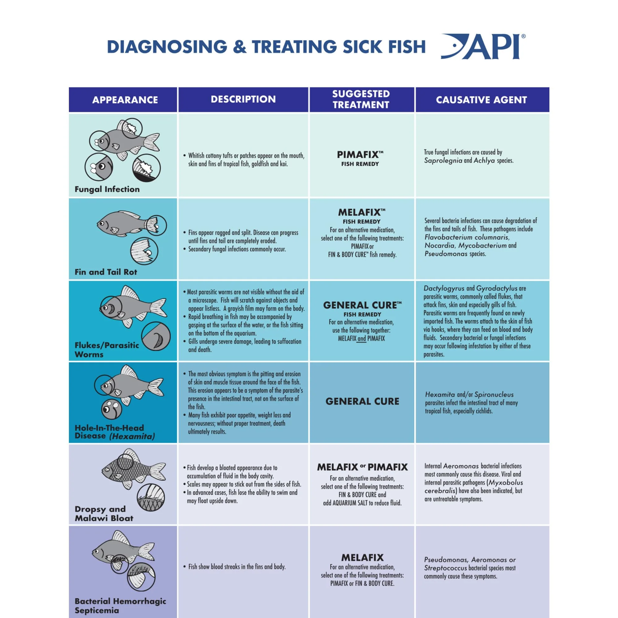 API GENERAL CURE Freshwater and Saltwater Fish Powder Medication 10-Count Box - Image 4