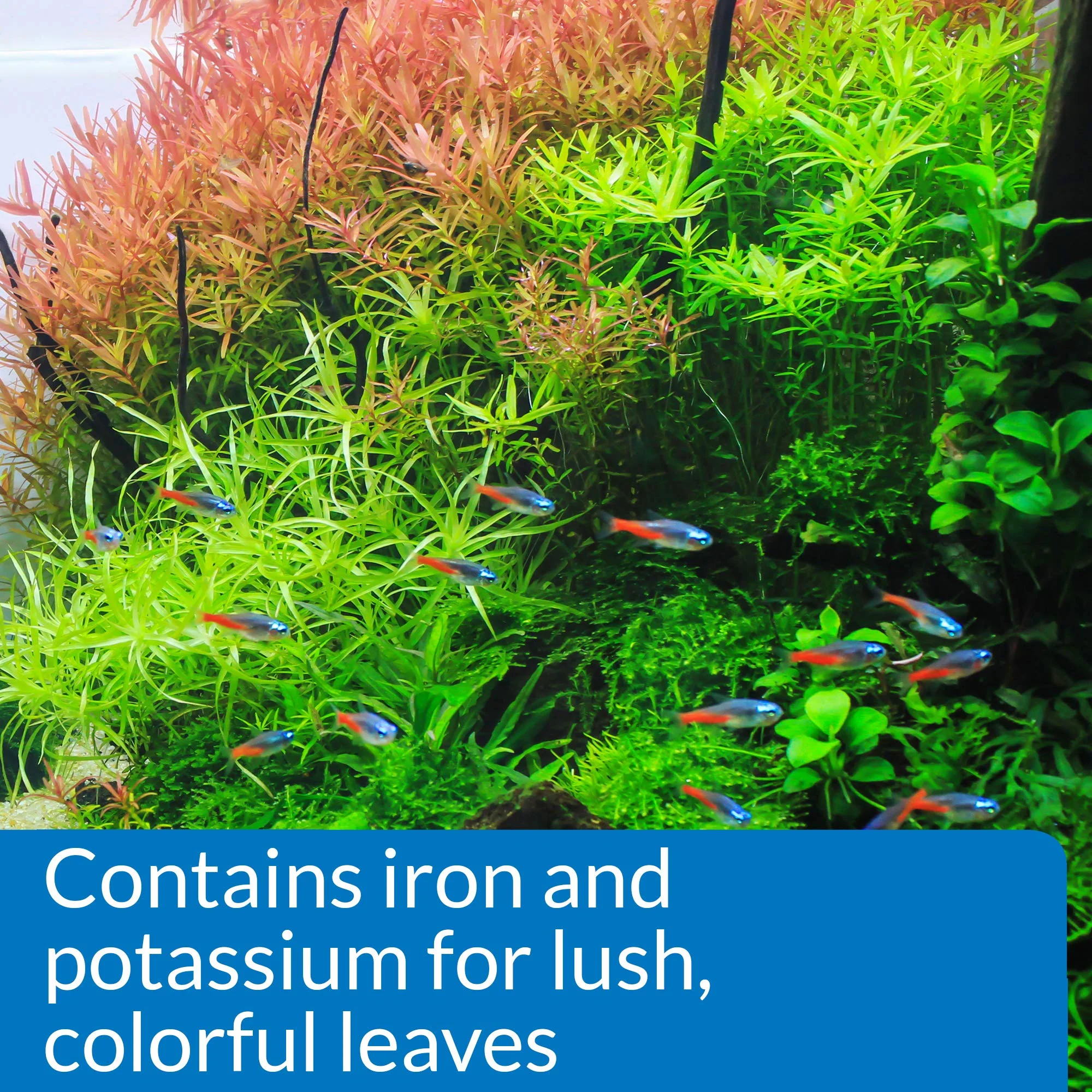 API LEAF ZONE Freshwater Aquarium Plant Fertilizer 8-Ounce Bottle - Image 7
