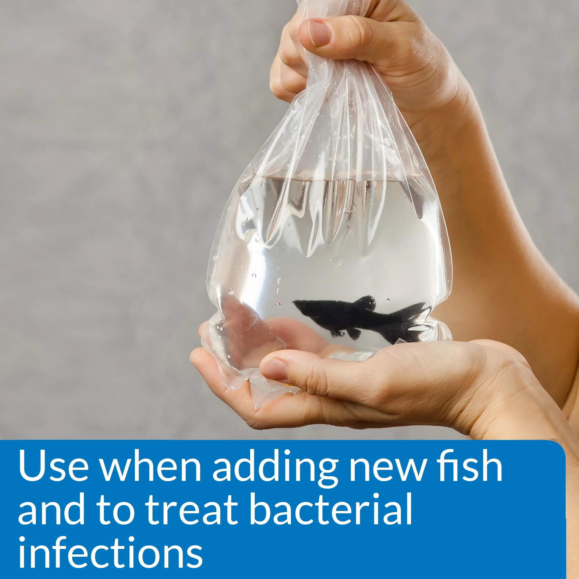 API MELAFIX Freshwater Fish Bacterial Infection Remedy 8-Ounce Bottle - Image 6