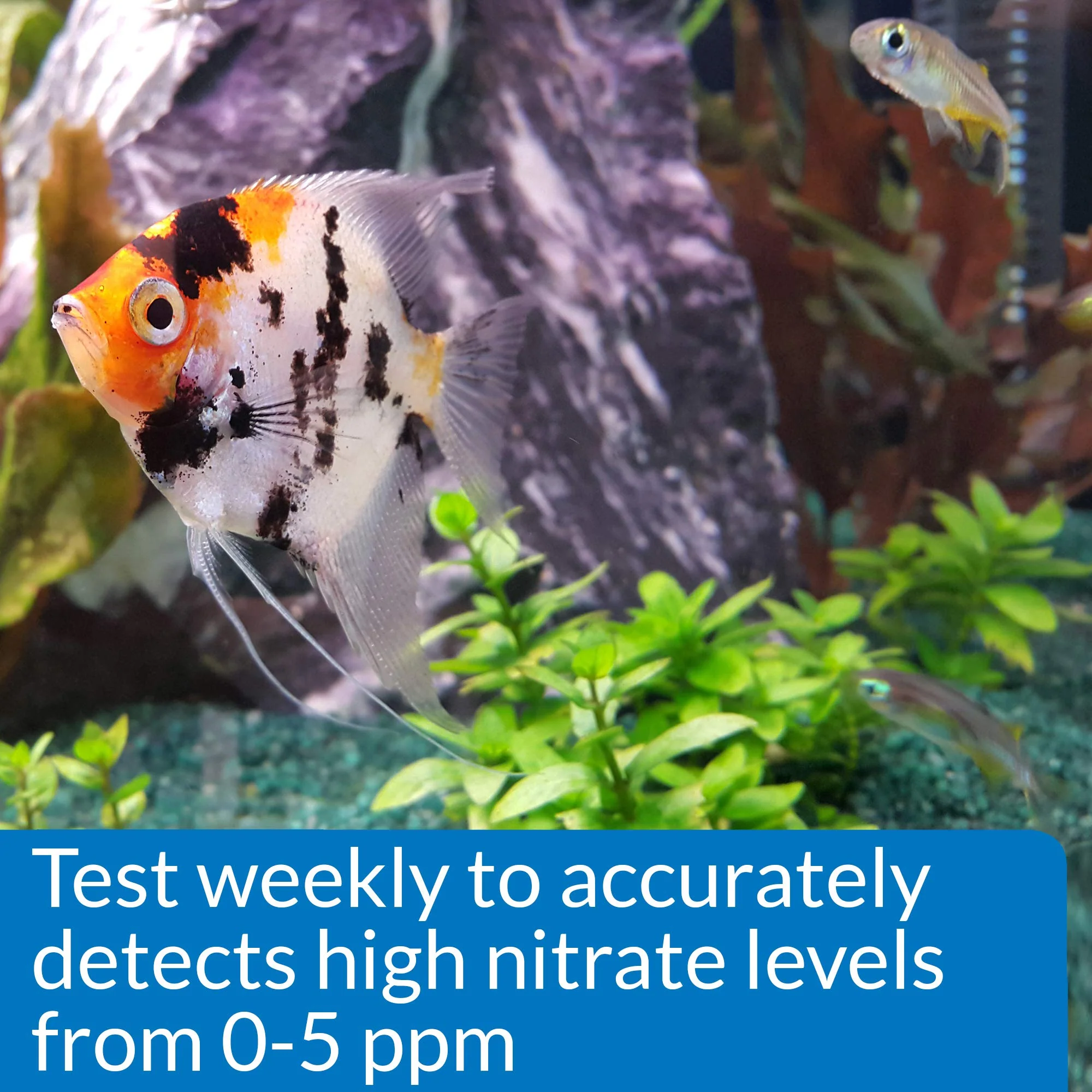 API NITRITE TEST KIT 180-Test Freshwater and Saltwater Aquarium Test Kit - Image 4