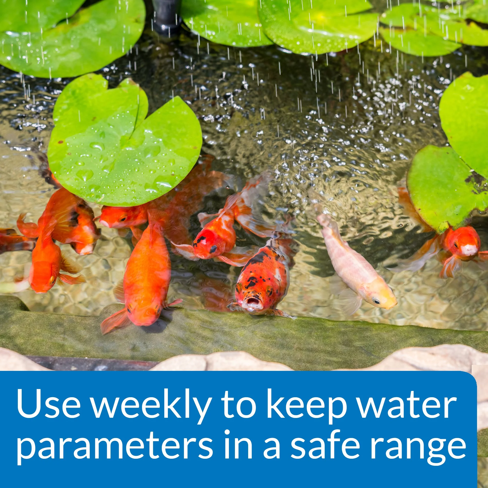 API POND MASTER TEST KIT Pond Water Test Kit 500-Test - Image 3