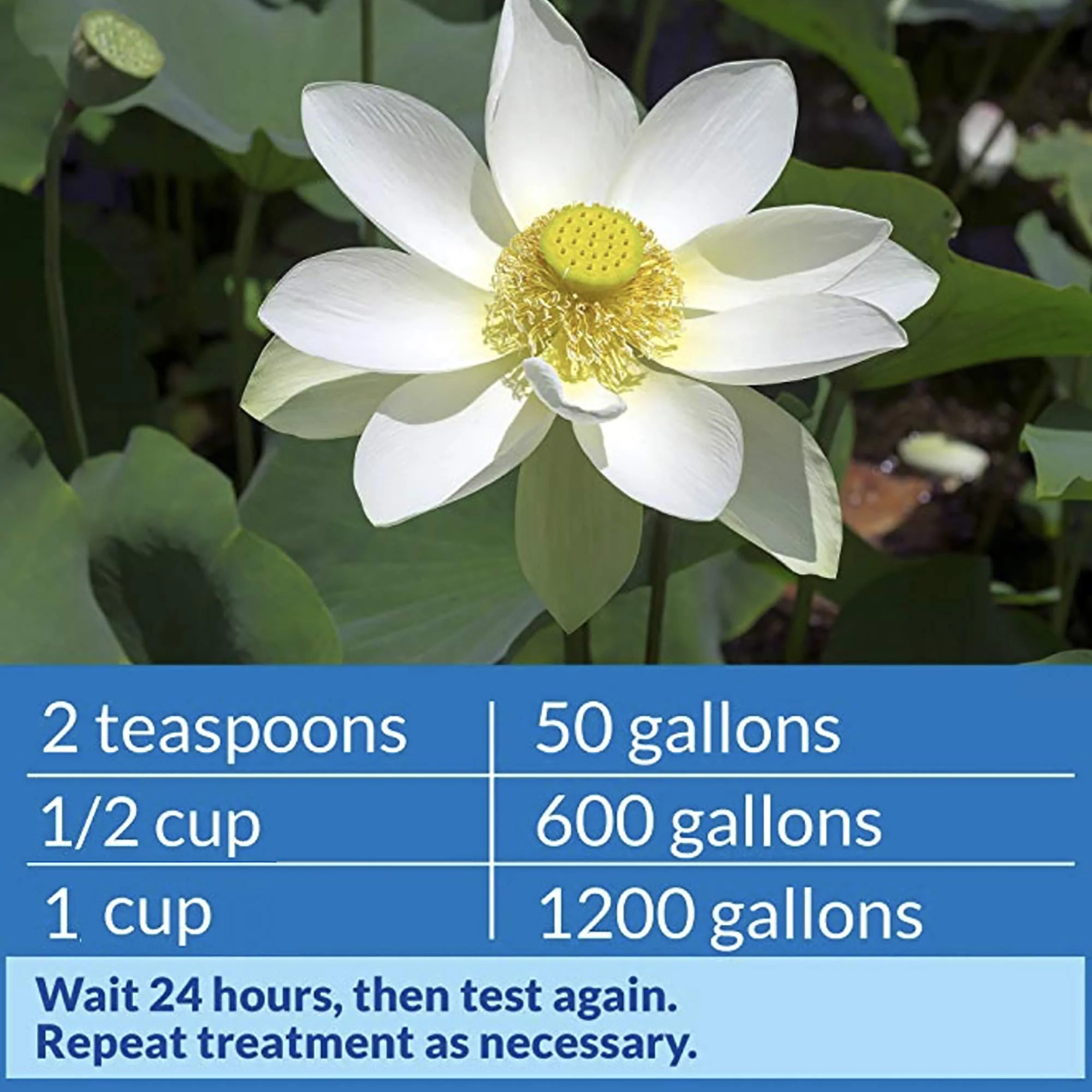 API POND pH UP Pond Water pH Raising Solution 16-Ounce Bottle - Image 3