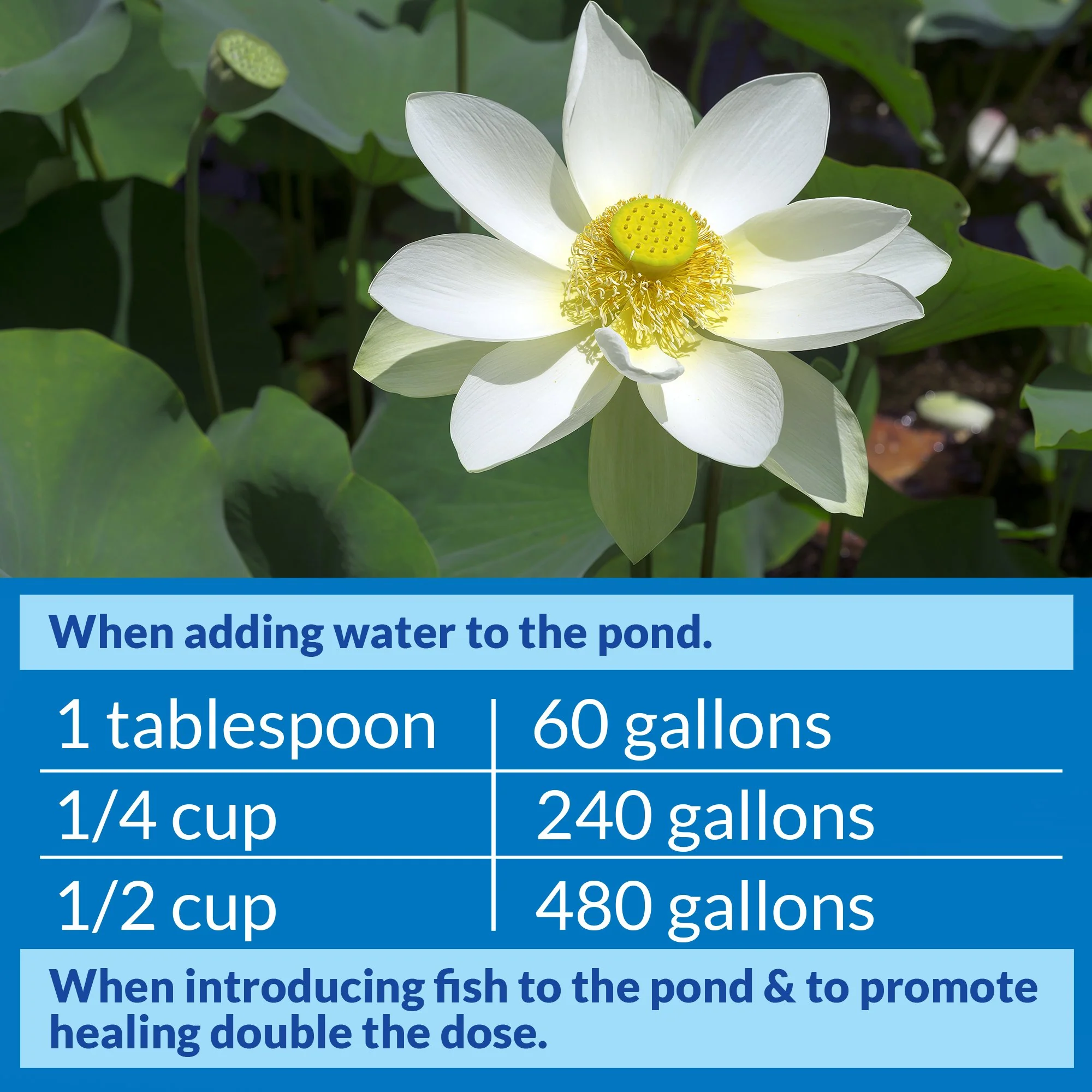 API POND STRESS COAT Pond Water Conditioner 32-Ounce Bottle - Image 4