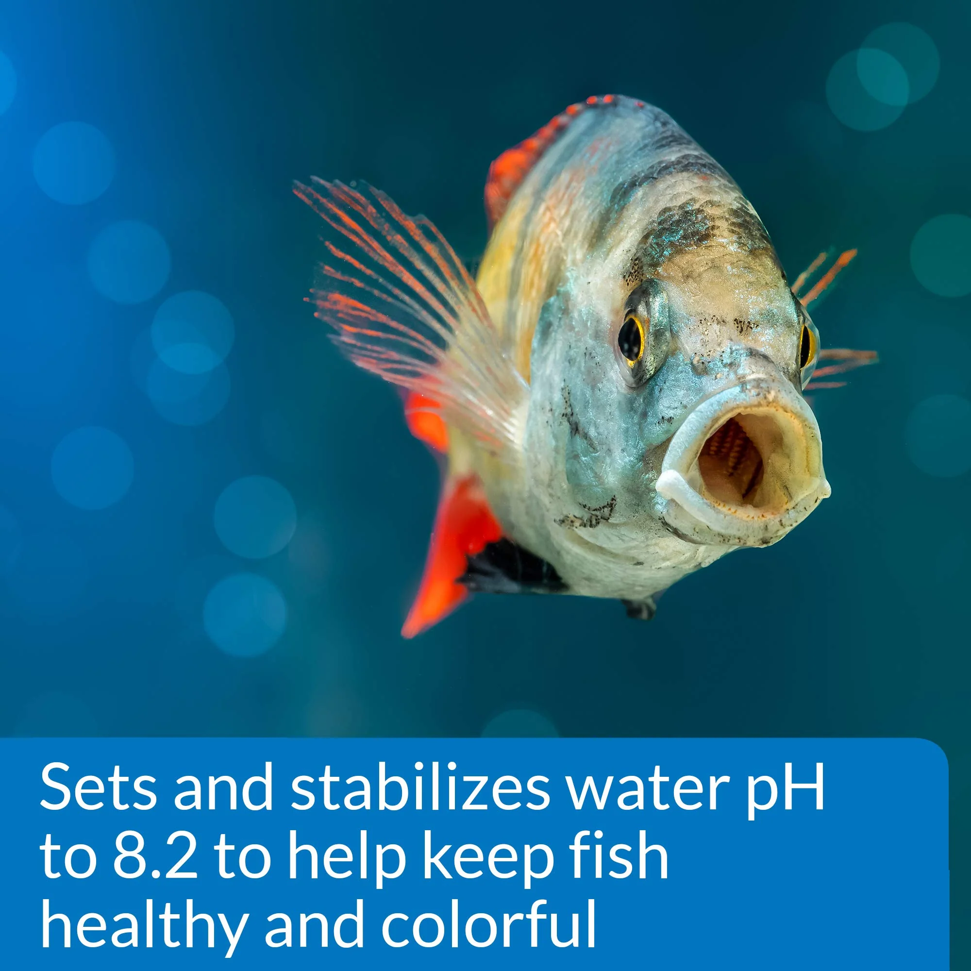 API PROPER pH 8.2 Freshwater Aquarium Water pH Stabilizer 7.4-Ounce Container - Image 5
