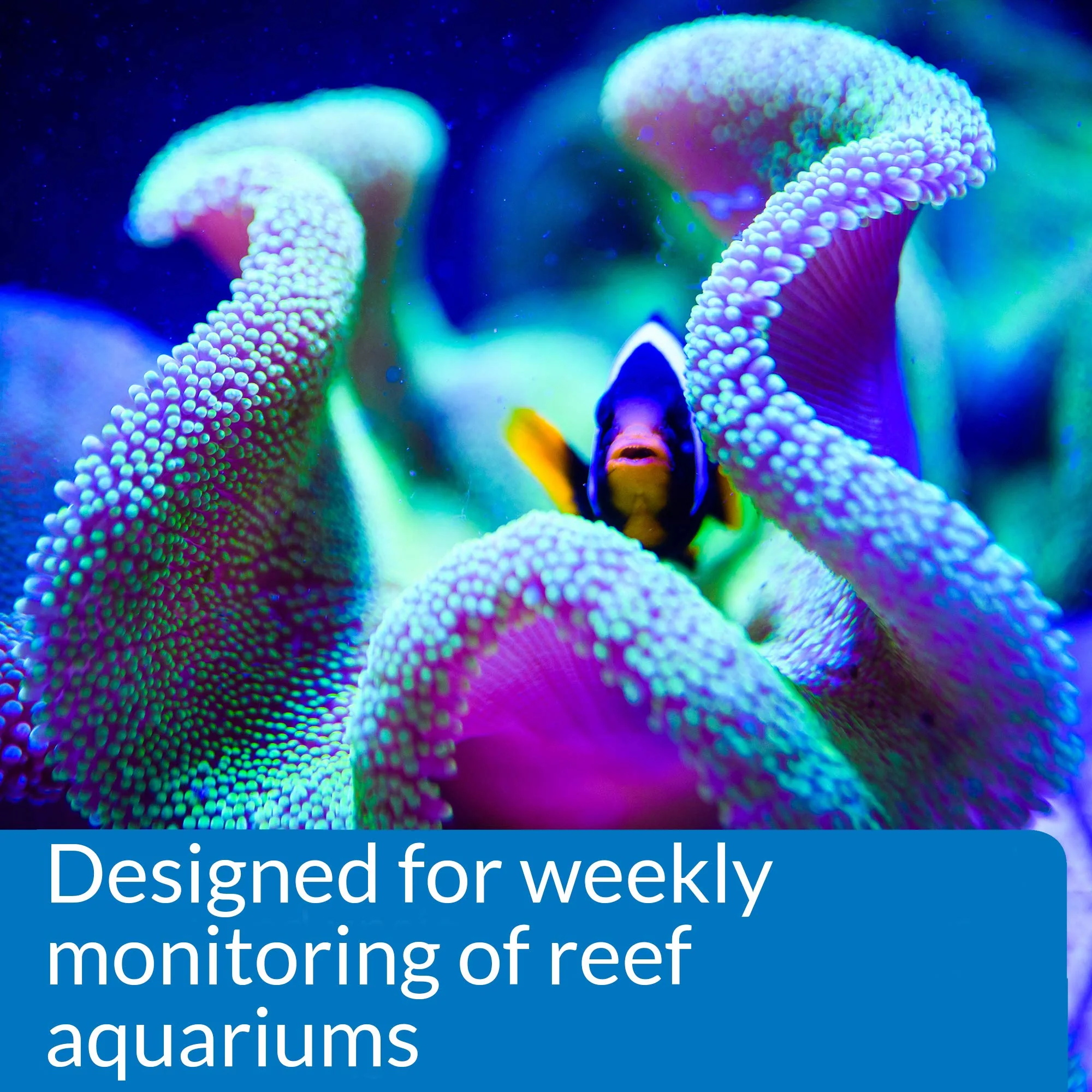 API REEF MASTER TEST KIT Reef Aquarium Water Test Kit 1-Count - Image 3