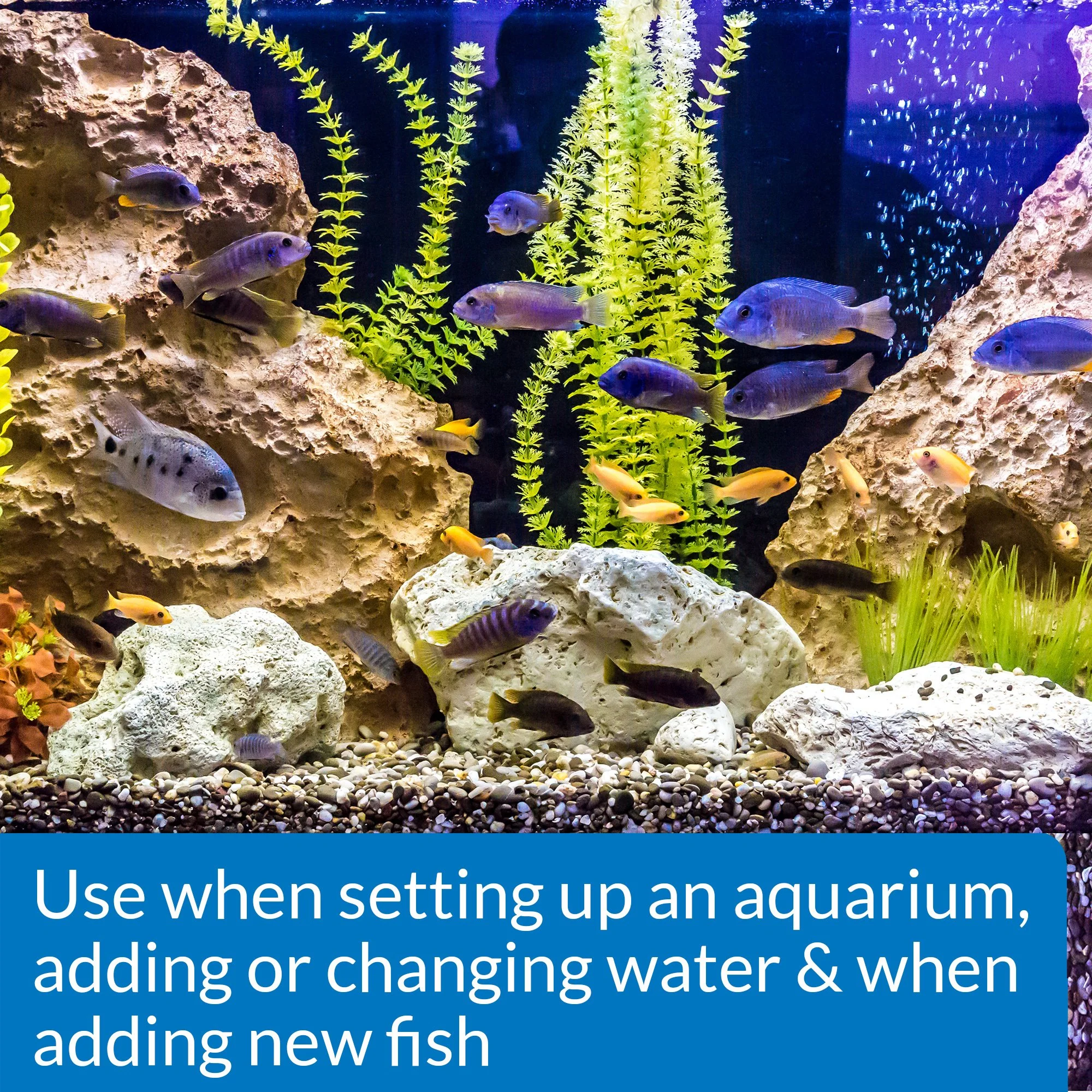 API STRESS COAT Aquarium Water Conditioner 1-Gallon Bottle, Model Number: 317163100851 - Image 5