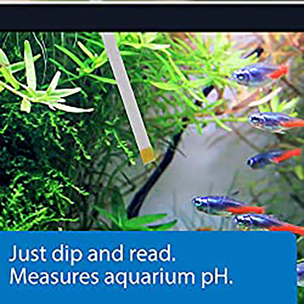 API TEST STRIPS,For Variety of Water Parameters,Monitor aquarium water quality and help prevent invisible water problems that can be harmful to fish,Use weekly and when problems appear,25-Count (33F) - Image 5