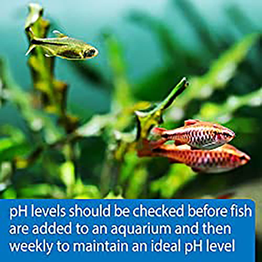 API TEST STRIPS,For Variety of Water Parameters,Monitor aquarium water quality and help prevent invisible water problems that can be harmful to fish,Use weekly and when problems appear,25-Count (33F) - Image 6
