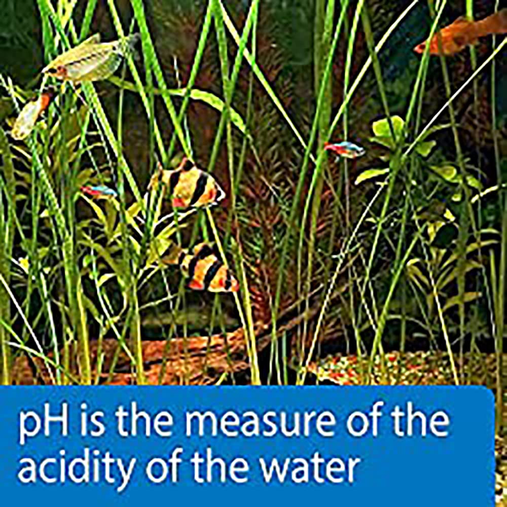 API TEST STRIPS,For Variety of Water Parameters,Monitor aquarium water quality and help prevent invisible water problems that can be harmful to fish,Use weekly and when problems appear,25-Count (33F) - Image 7