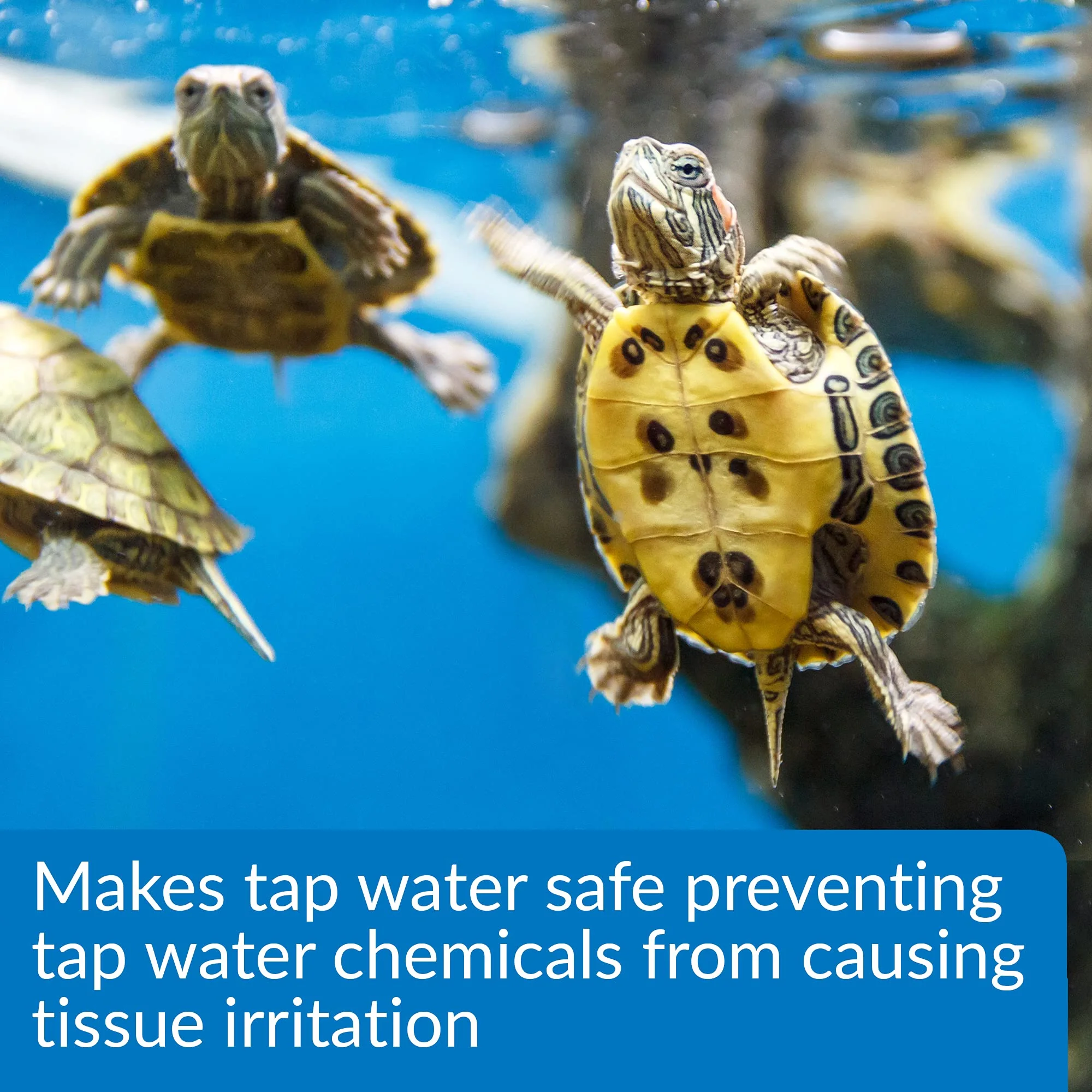 API TURTLE WATER CONDITIONER Water Conditioner 8-Ounce Bottle - Image 5