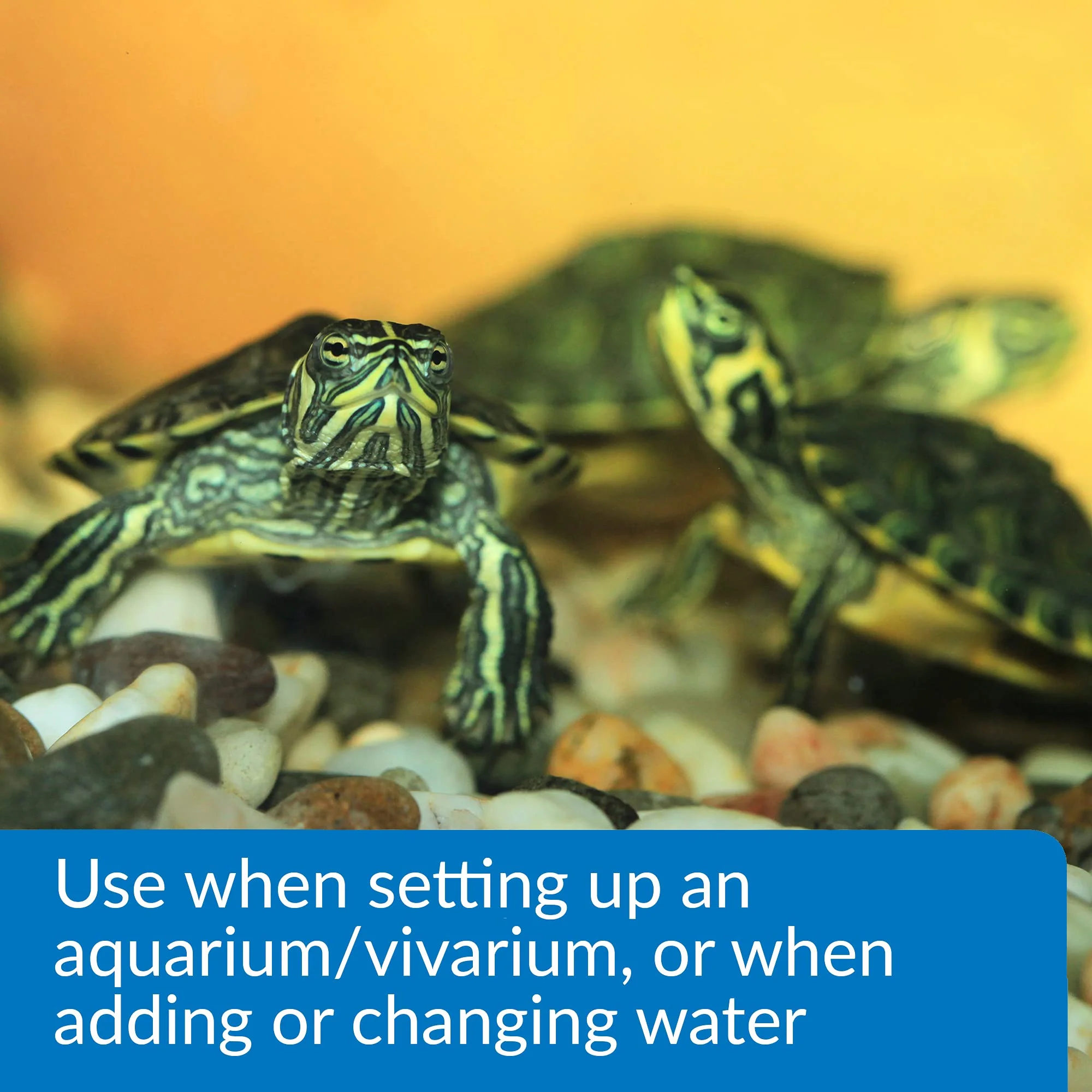 API TURTLE WATER CONDITIONER Water Conditioner 8-Ounce Bottle - Image 6