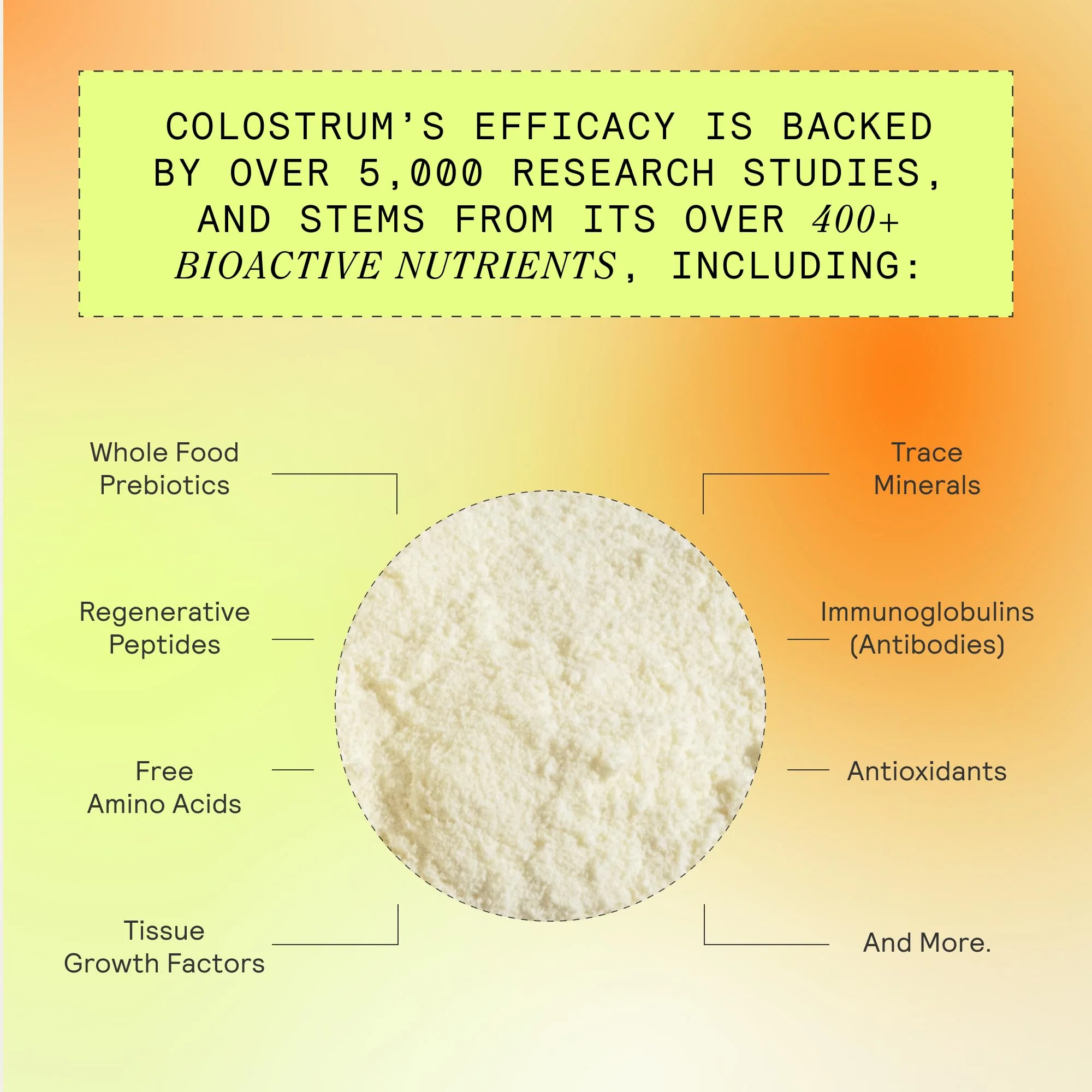 ARMRA Colostrum Powder | Unflavored | Gut Health & Bloating | Skin & Hair | Immunity | Keto, Gluten & Fat-Free | 120 Servings - Image 7