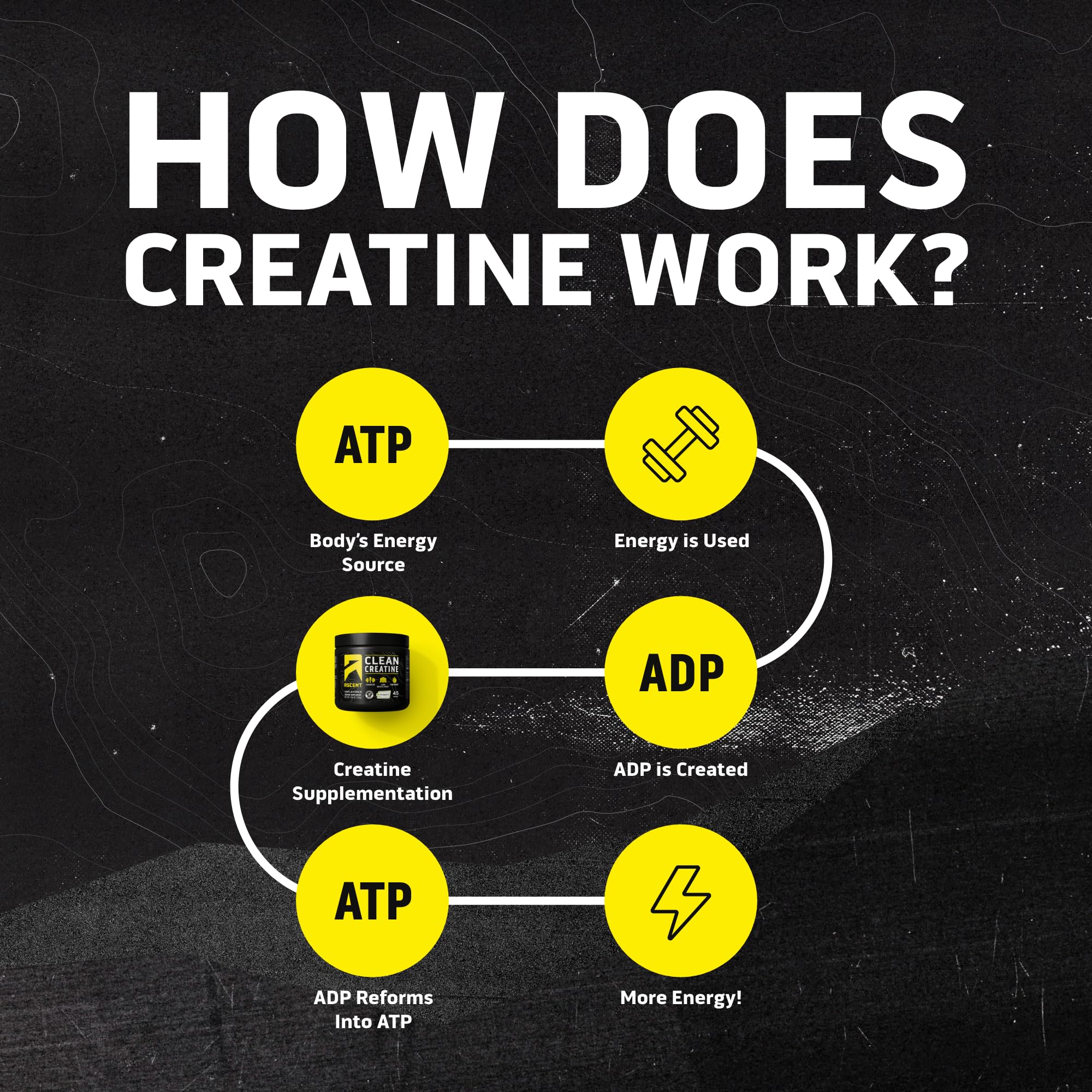 Ascent Clean Creatine Monohydrate Powder - 5G Per Serving, Creapure Supplement - Unflavored, 45 Servings - Image 6