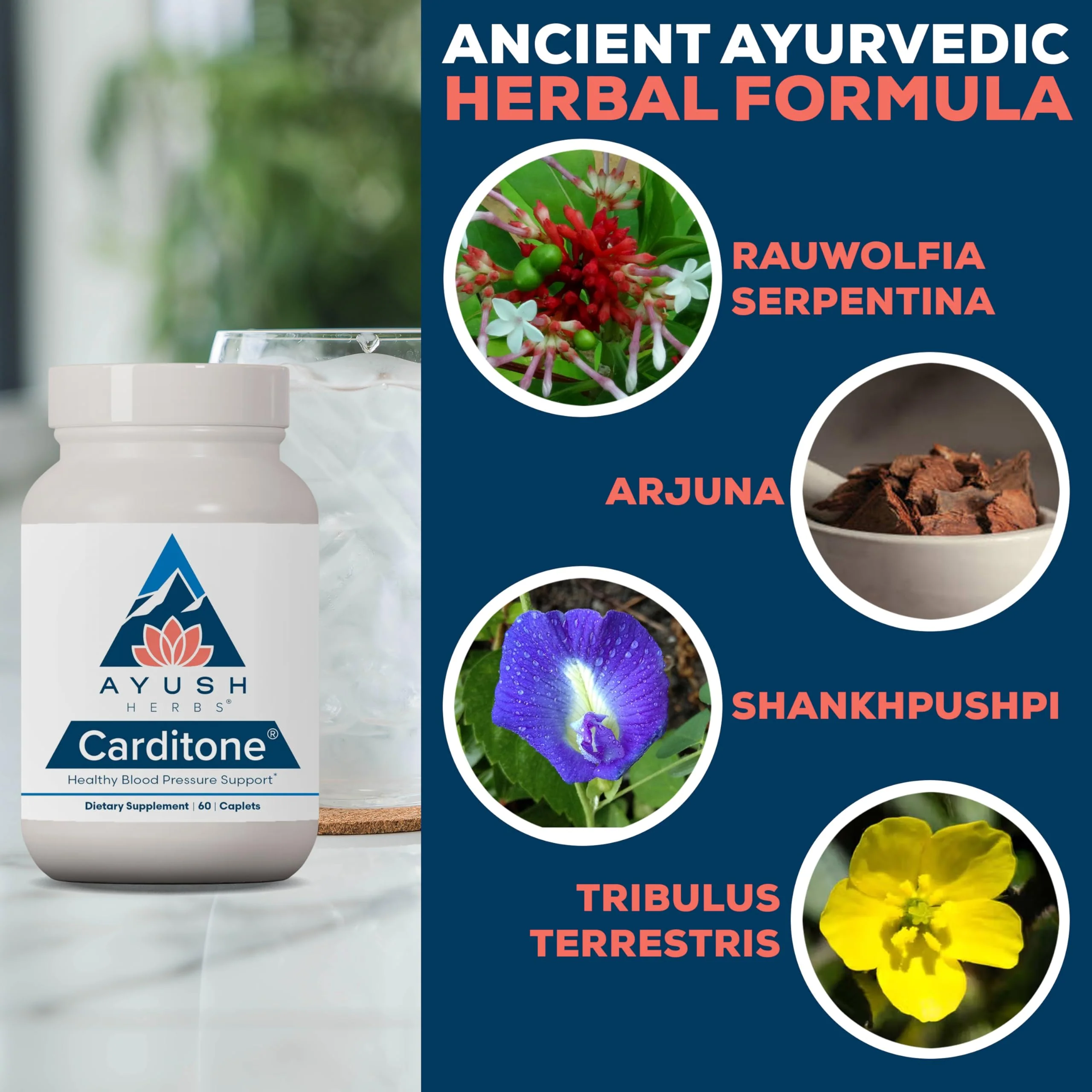 Ayush Herbs Carditone - Natural Heart Health Supplement for Women & Men, BP Formula, Holistic Heart Support with Rauwolfia, Arjuna, Calcium, and Magnesium - 60 Vegetarian Caplets (1 Count) - Image 5