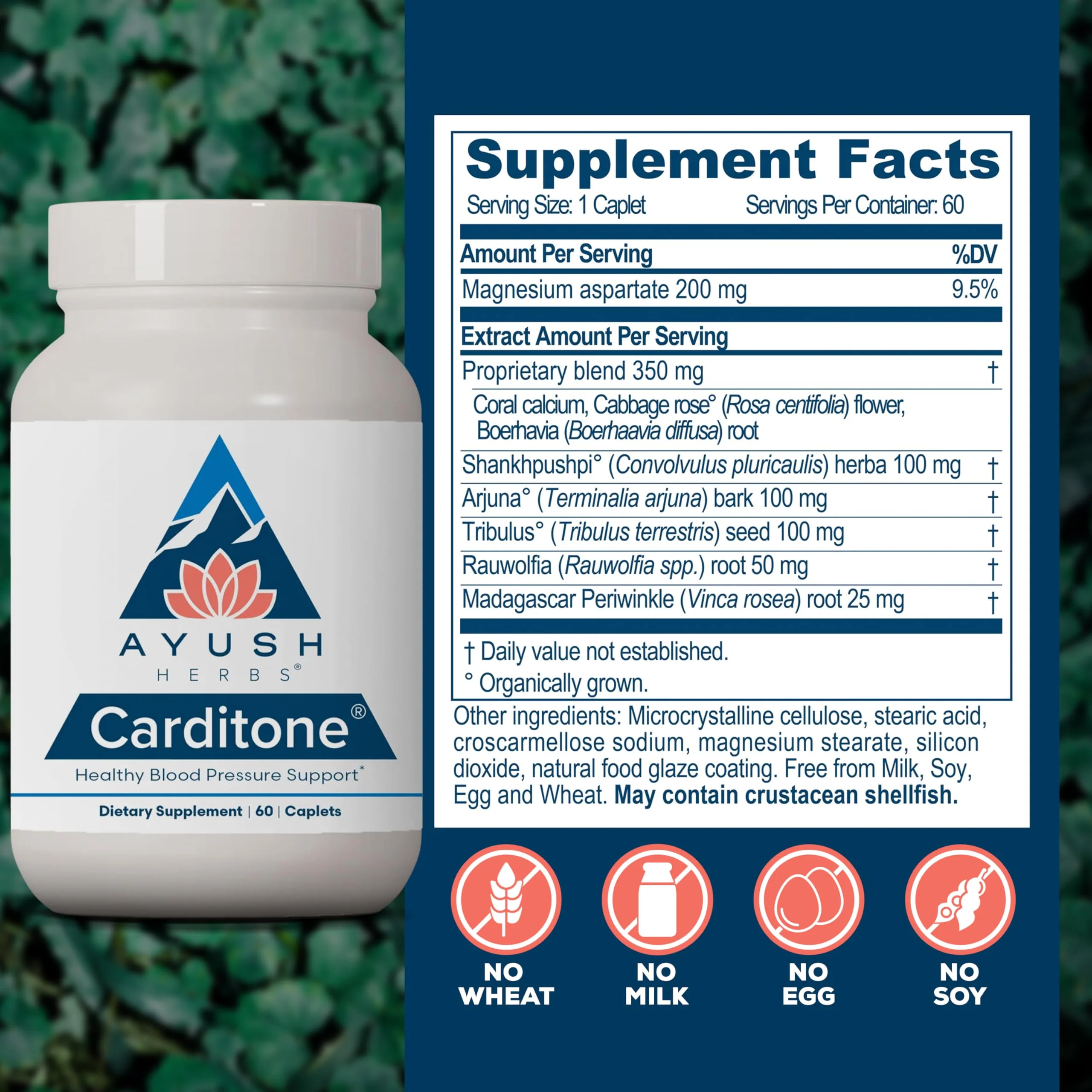 Ayush Herbs Carditone - Natural Heart Health Supplement for Women & Men, BP Formula, Holistic Heart Support with Rauwolfia, Arjuna, Calcium, and Magnesium - 60 Vegetarian Caplets (1 Count) - Image 6