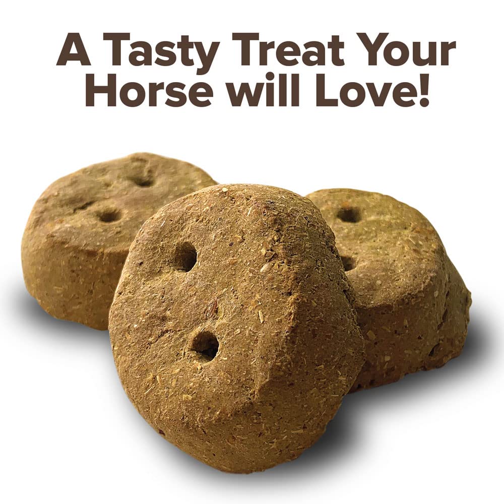 Banana Rounders Horse Treat 30 oz (850 g) - Image 7