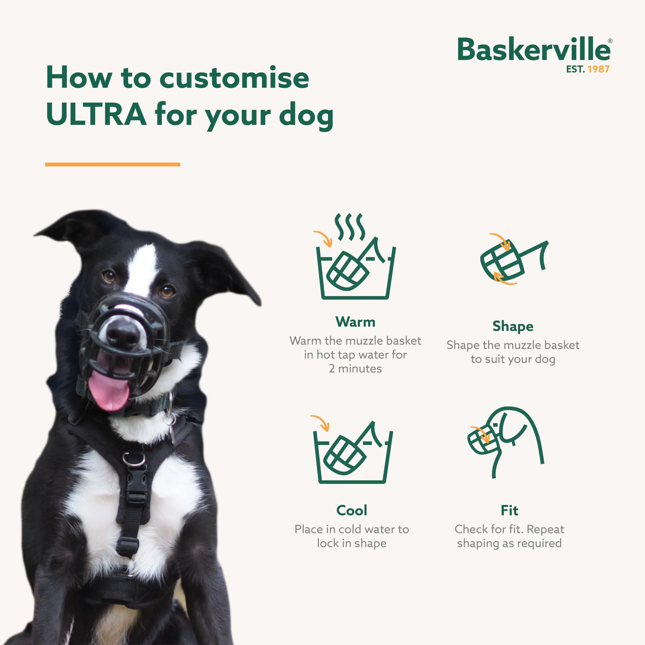 Baskerville ULTRA Muzzle - Patented Humane Design, Breathable, Dog can Pant and Drink, Adjustable, Padded, Dog Training Muzzle for Small Dogs, Prevents Biting, Wildlife Scavenging (Size 2, Black) - Image 6