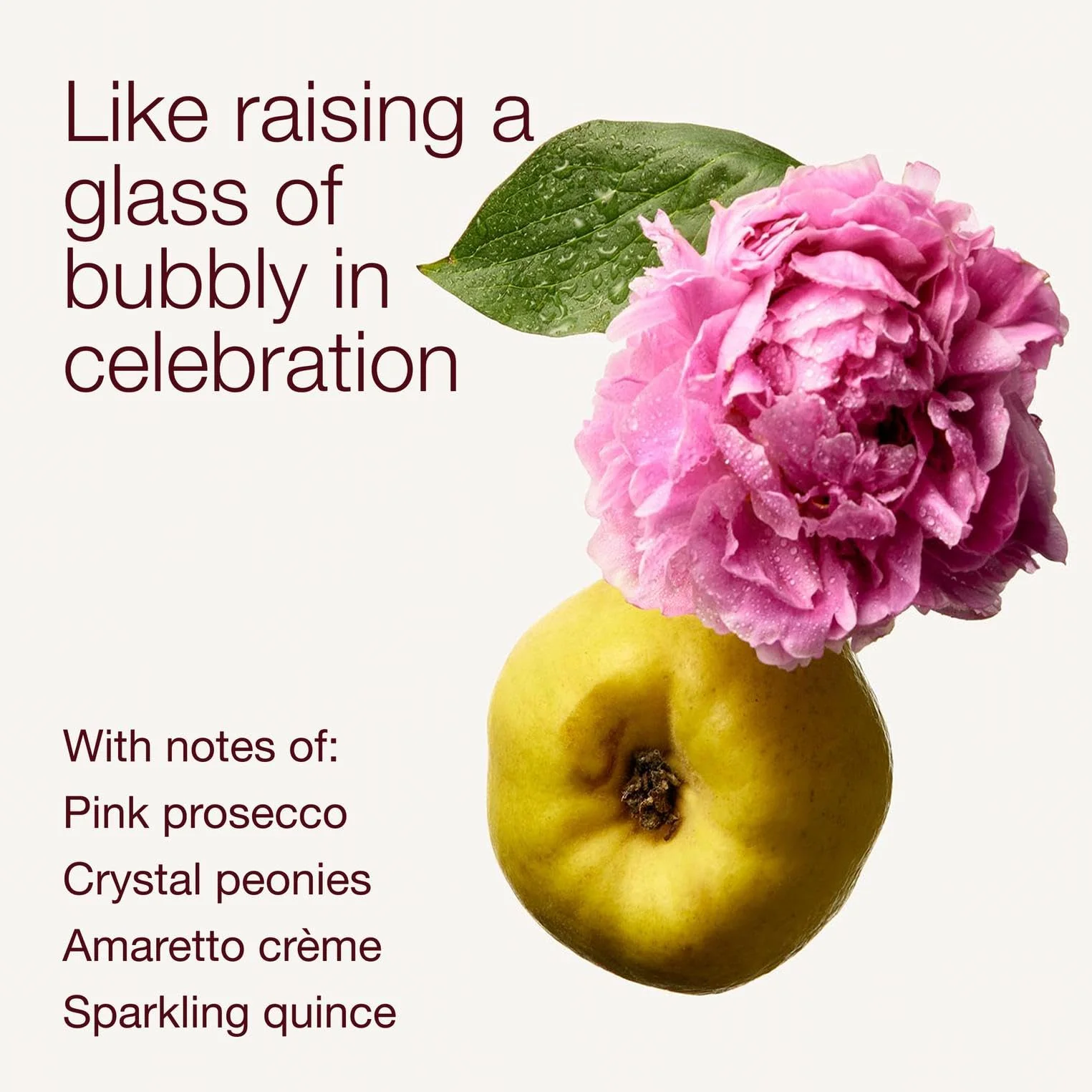 Bath & Body Works A Thousand Wishes Fine Fragrance Mist, Body Spray & Perfume for Women, Long-Lasting Personal Fragrance, Sparkling Prosecco & Peony Scent, 8 fl oz - 1 Pack - Image 5