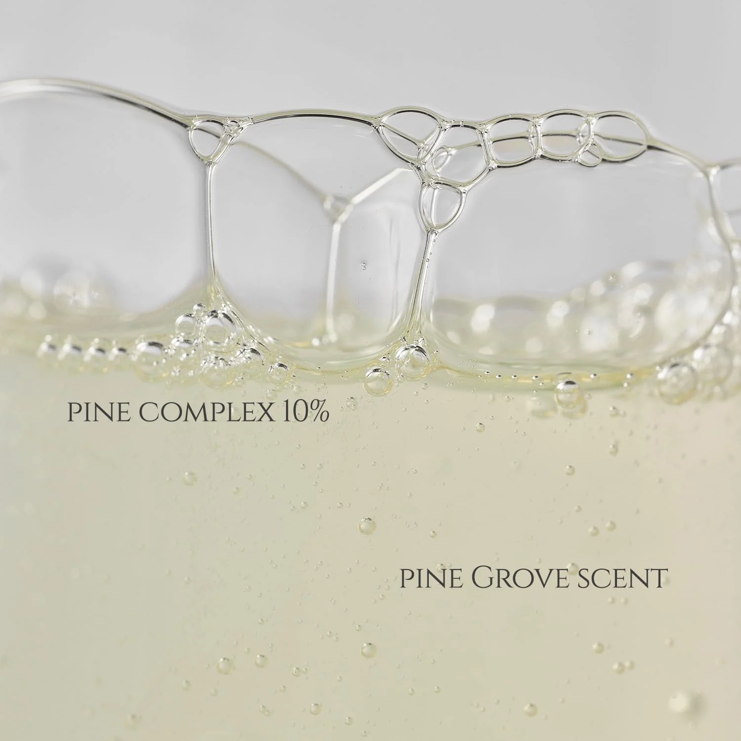 Beauty of Joseon] Pine Grove : Body Wash (400ml, 13.5 fl.oz) - Image 6