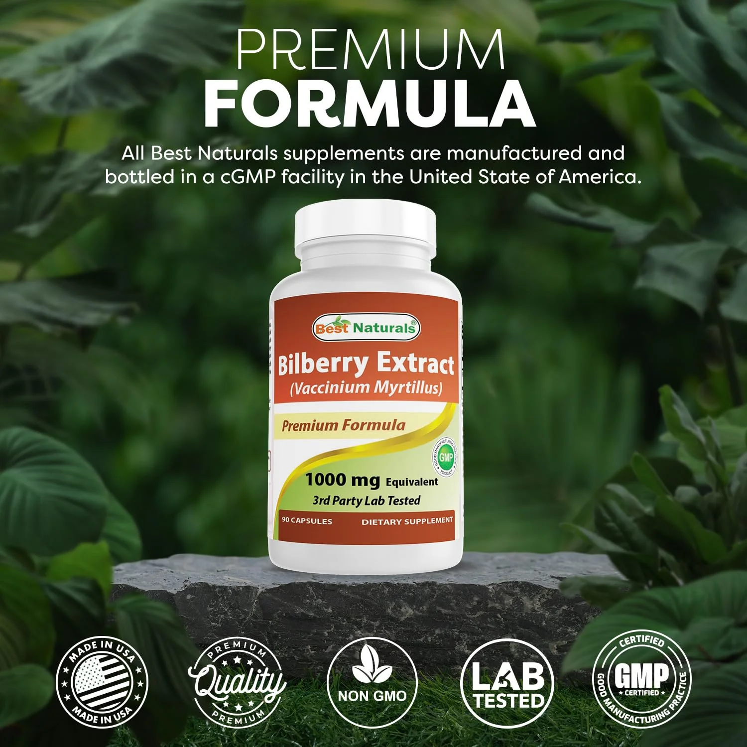 Best Naturals Bilberry Extract 1000mg Capsule (Non-GMO) Supports Healthy Vision, 90 Count - Image 4