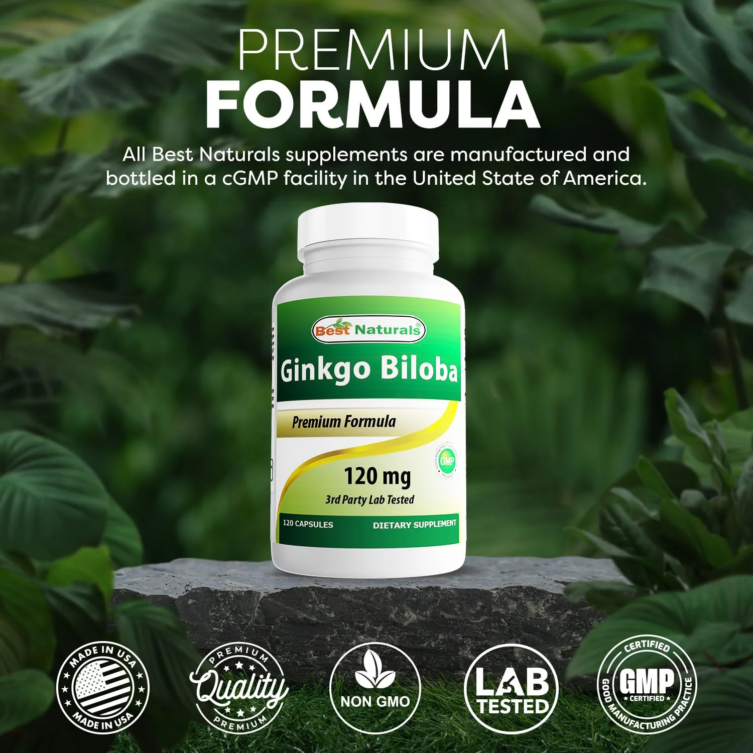 Best Naturals Ginkgo Biloba 120 mg 120 Capsules - Image 7
