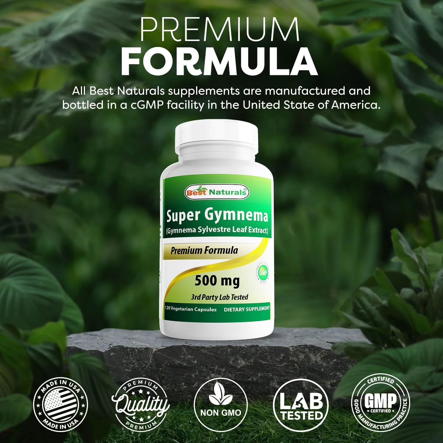 Best Naturals Gymnema Sylvestre Extract 500 mg 120 Vegetarian Capsules - Contains Minimum of 25% Gymnemic Acid (Pack of 2) - Image 4