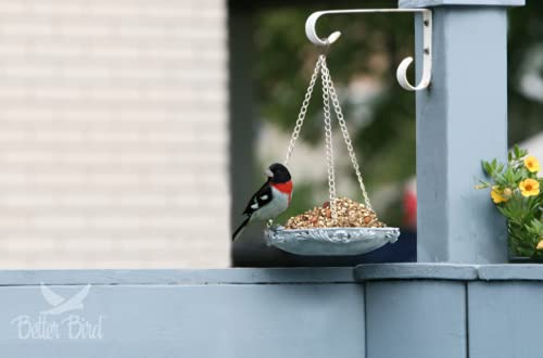 Better Bird Beautiful Bird Food, 5 Lb - Image 4